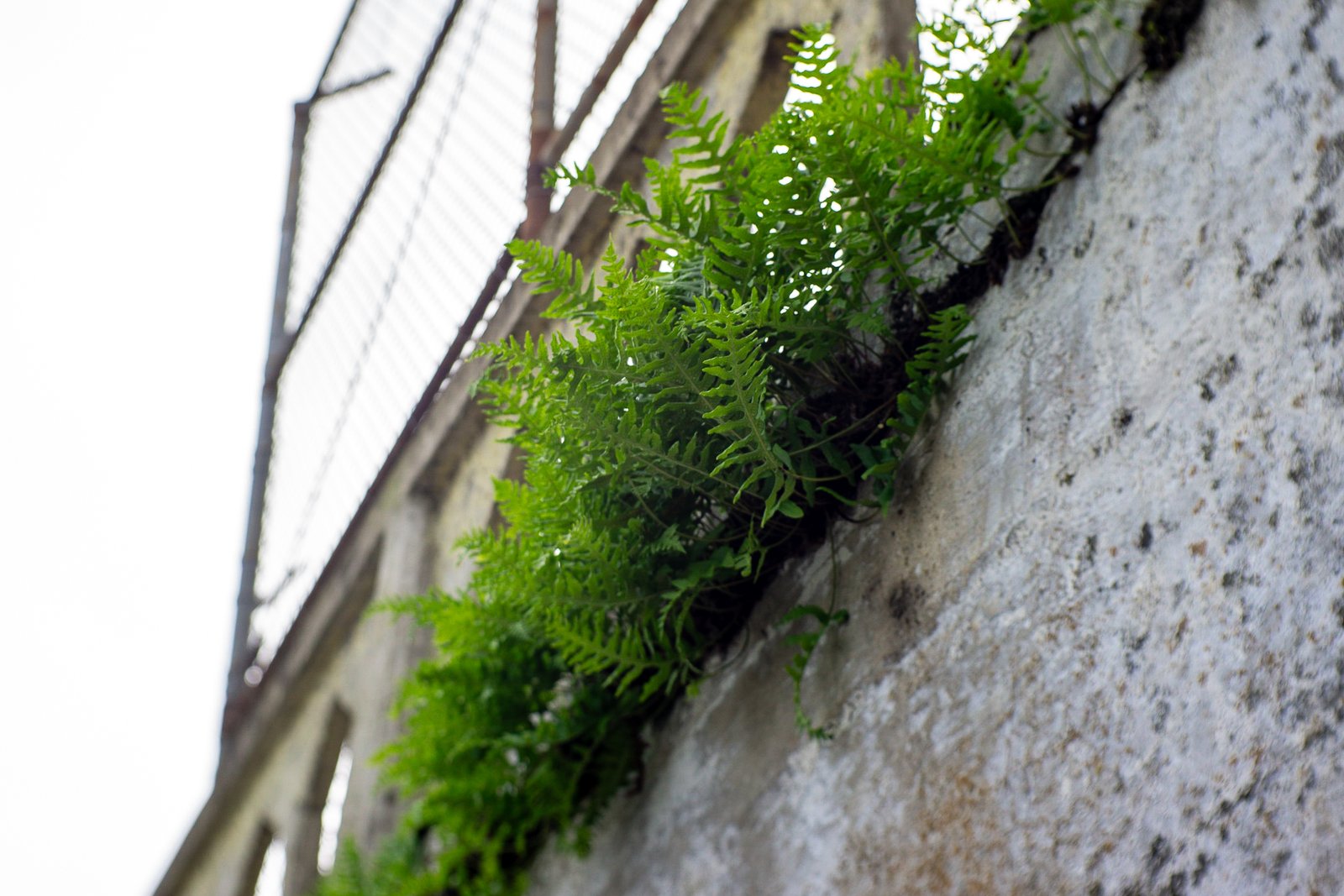 A photo from glenkphoto.com gallery