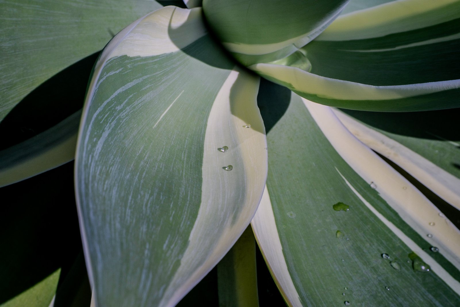 A photo from glenkphoto.com gallery