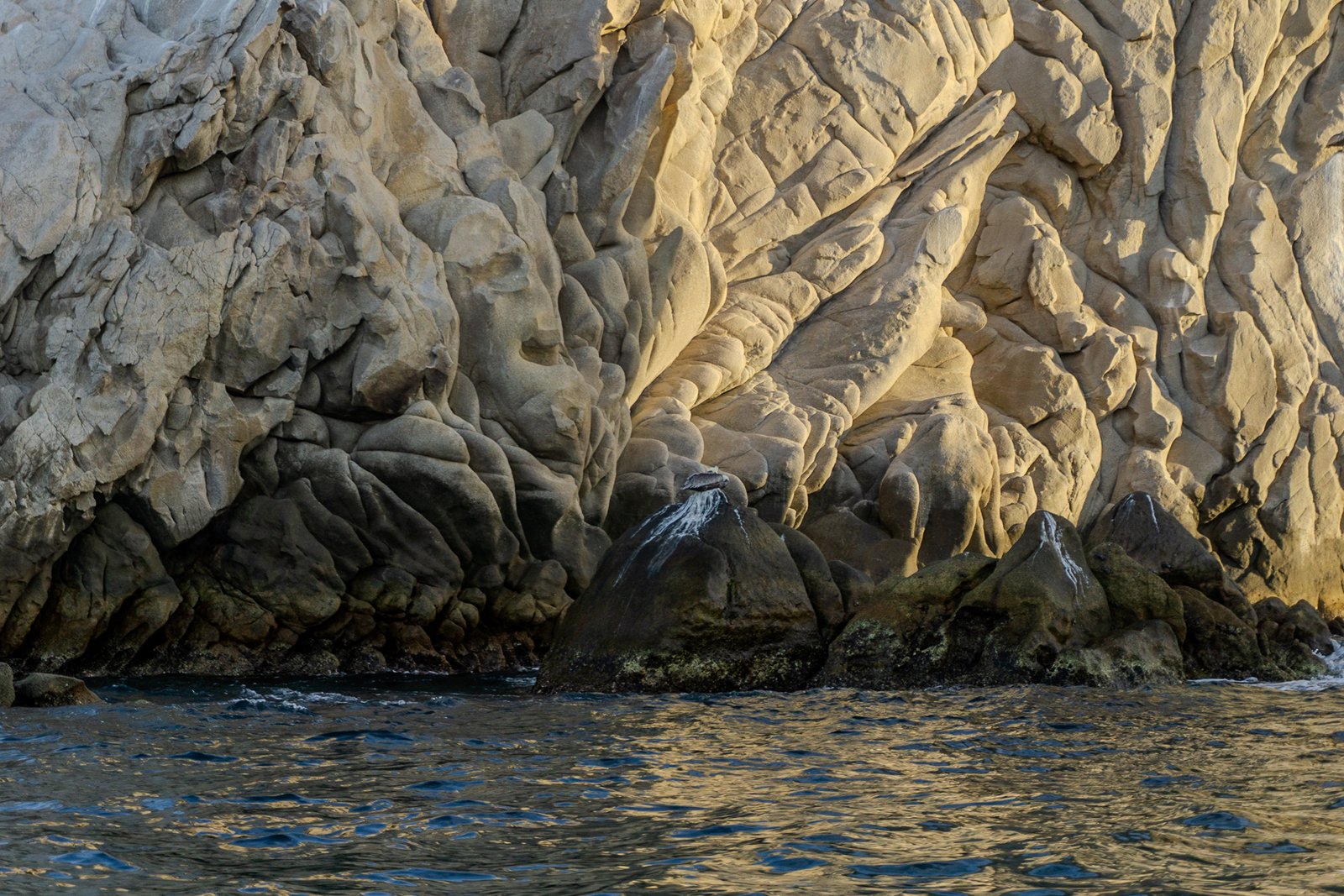 A photo from glenkphoto.com gallery