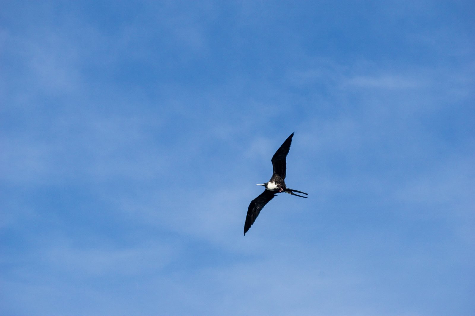 A photo from glenkphoto.com gallery