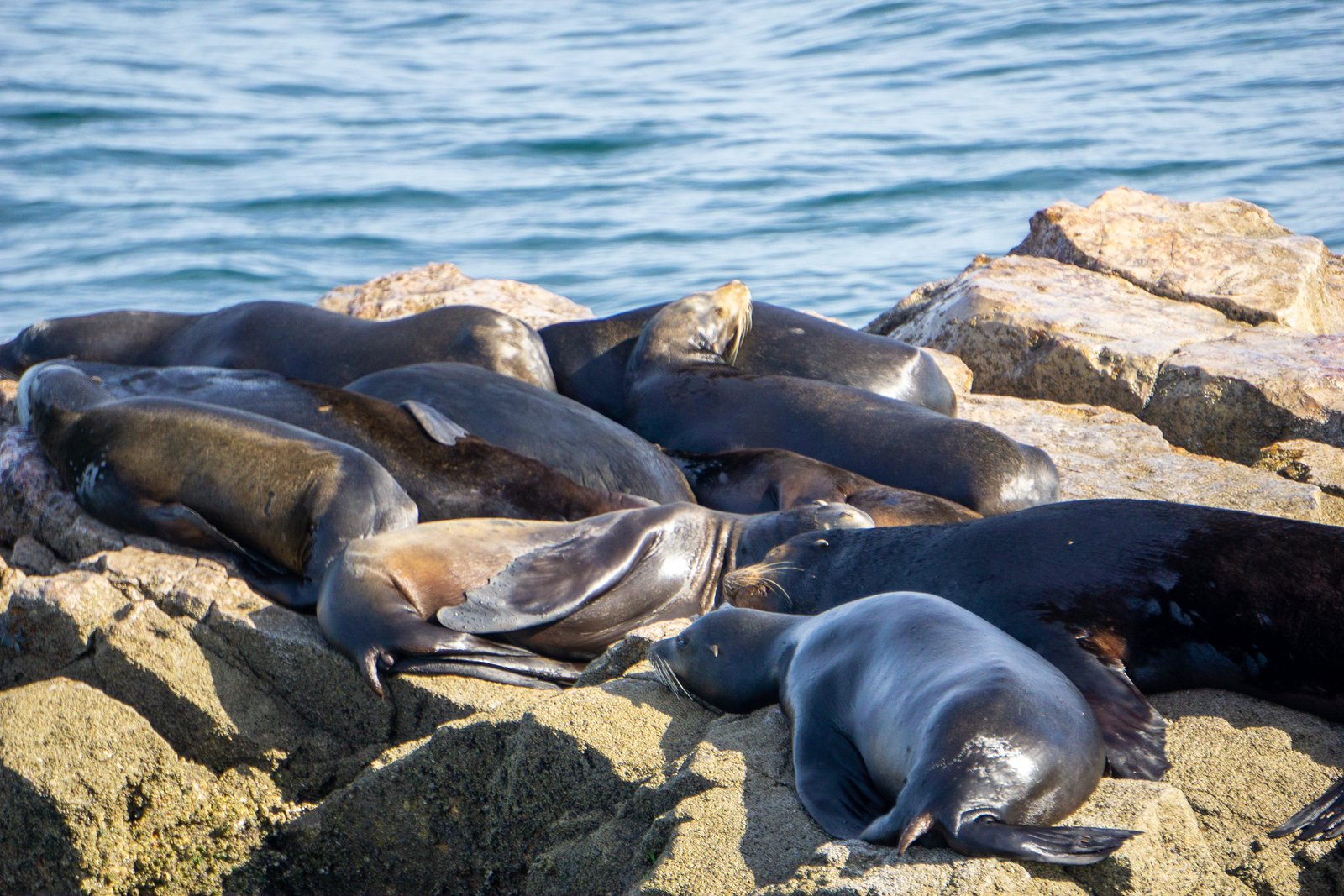 A photo from glenkphoto.com gallery