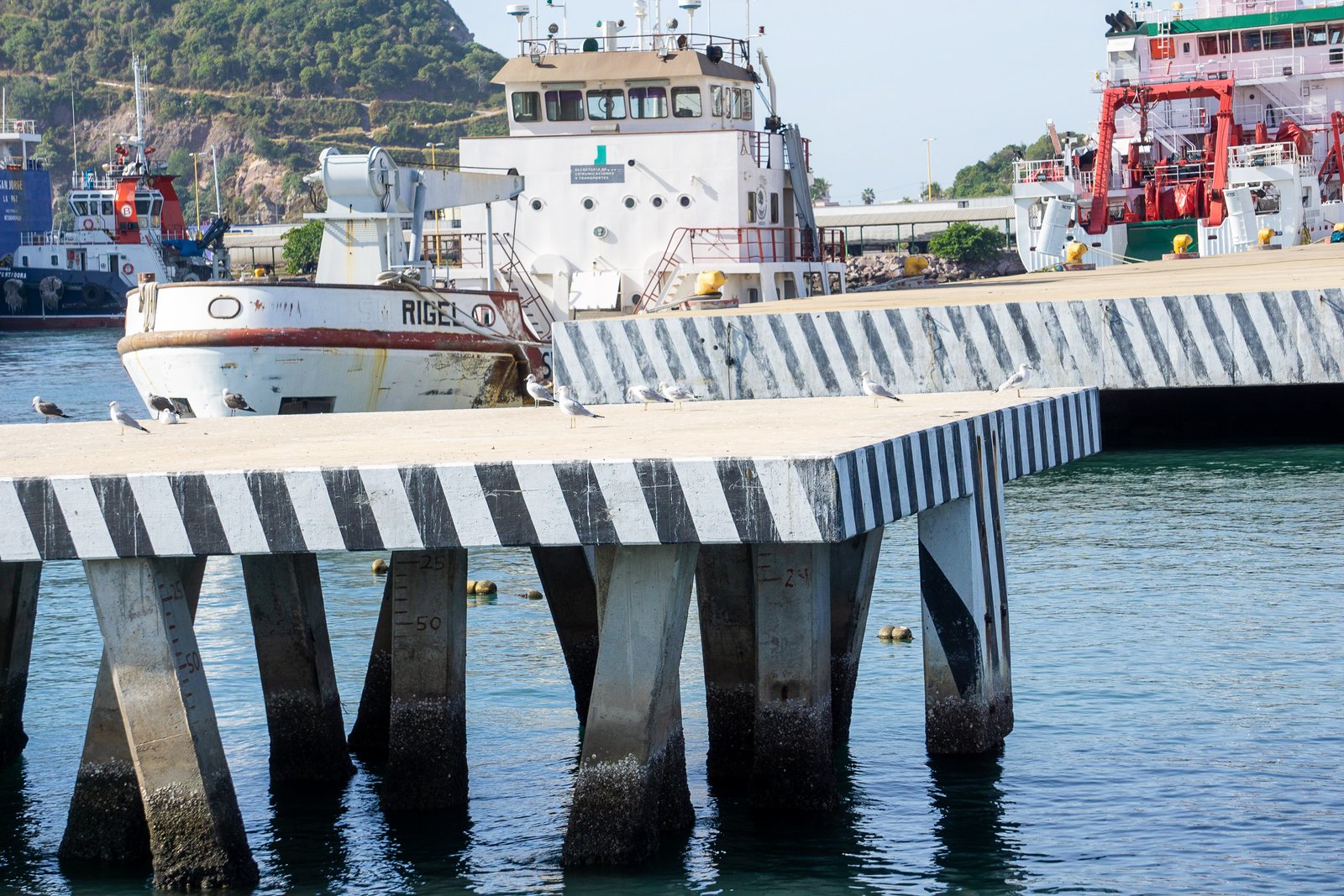 A photo from glenkphoto.com gallery