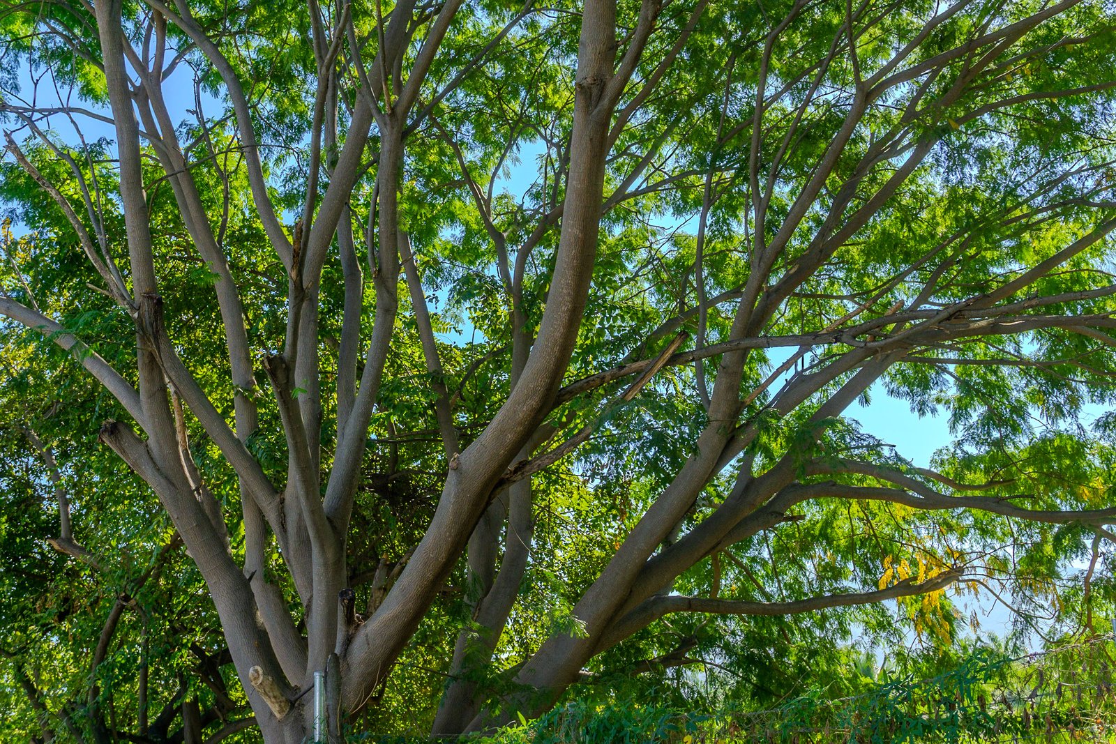 A photo from glenkphoto.com gallery