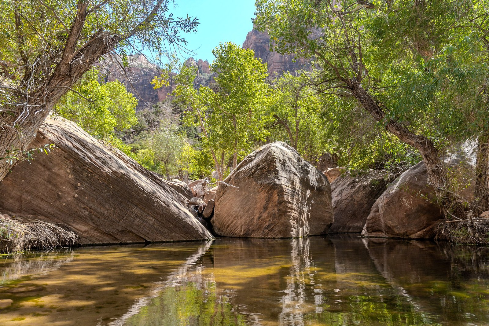 A photo from glenkphoto.com gallery