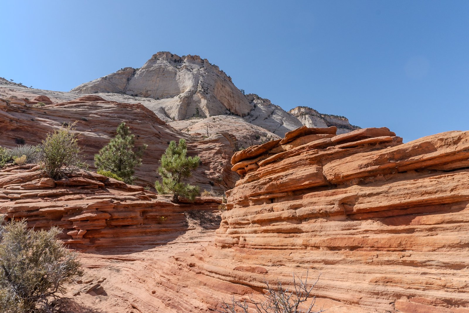 A photo from glenkphoto.com gallery