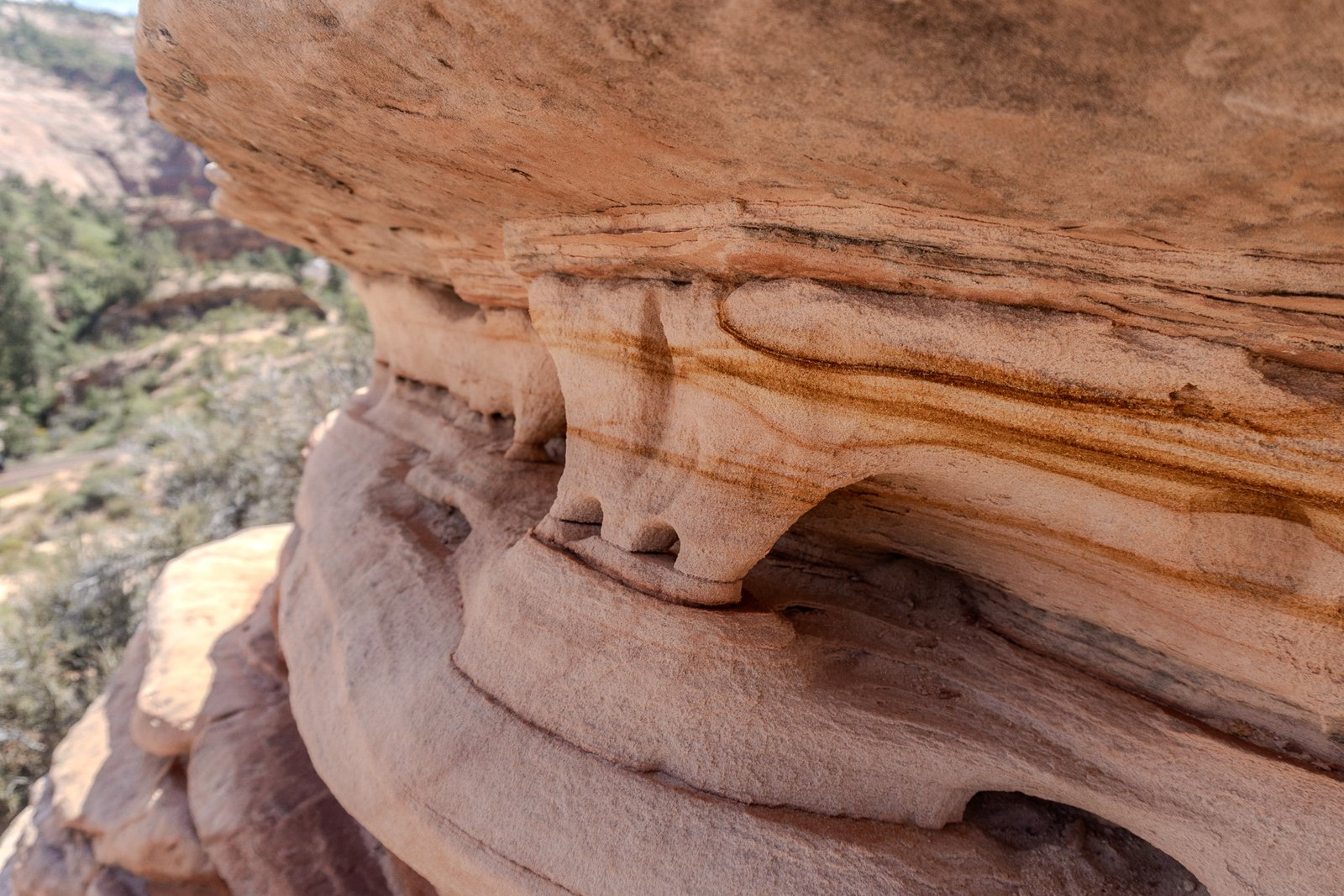 A photo from glenkphoto.com gallery