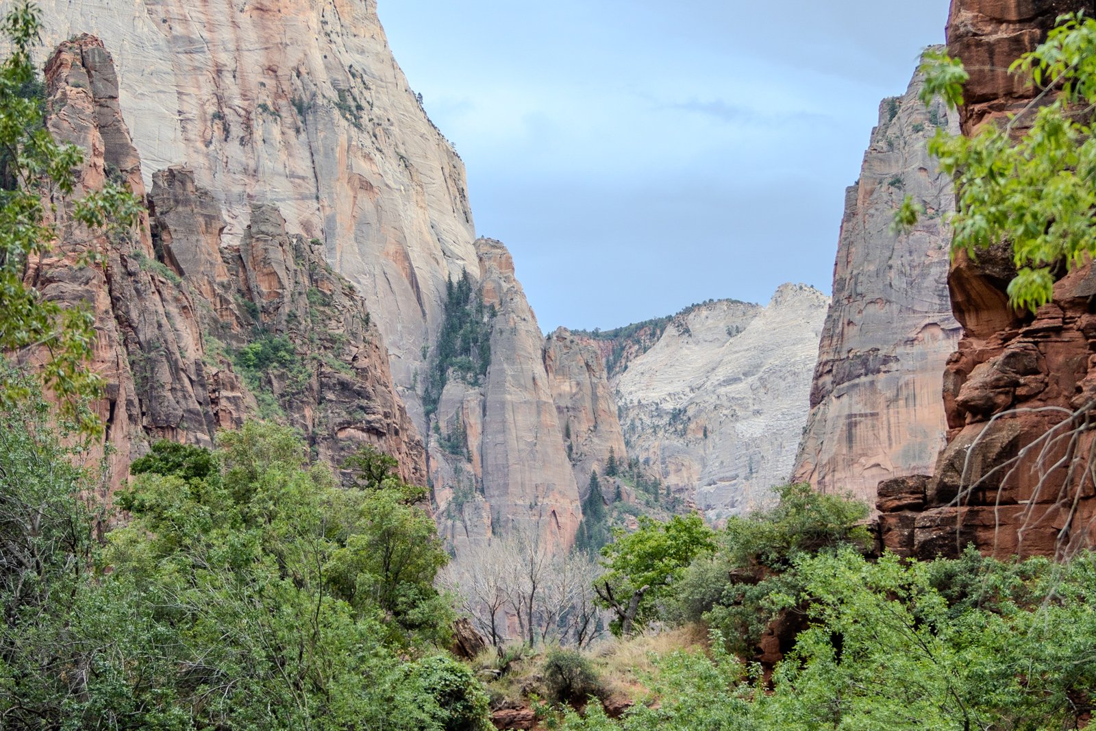 A photo from glenkphoto.com gallery