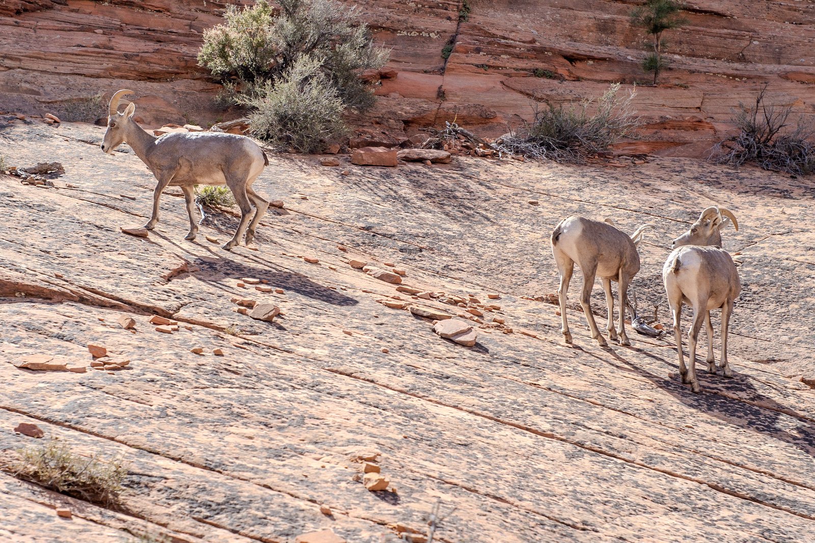 A photo from glenkphoto.com gallery