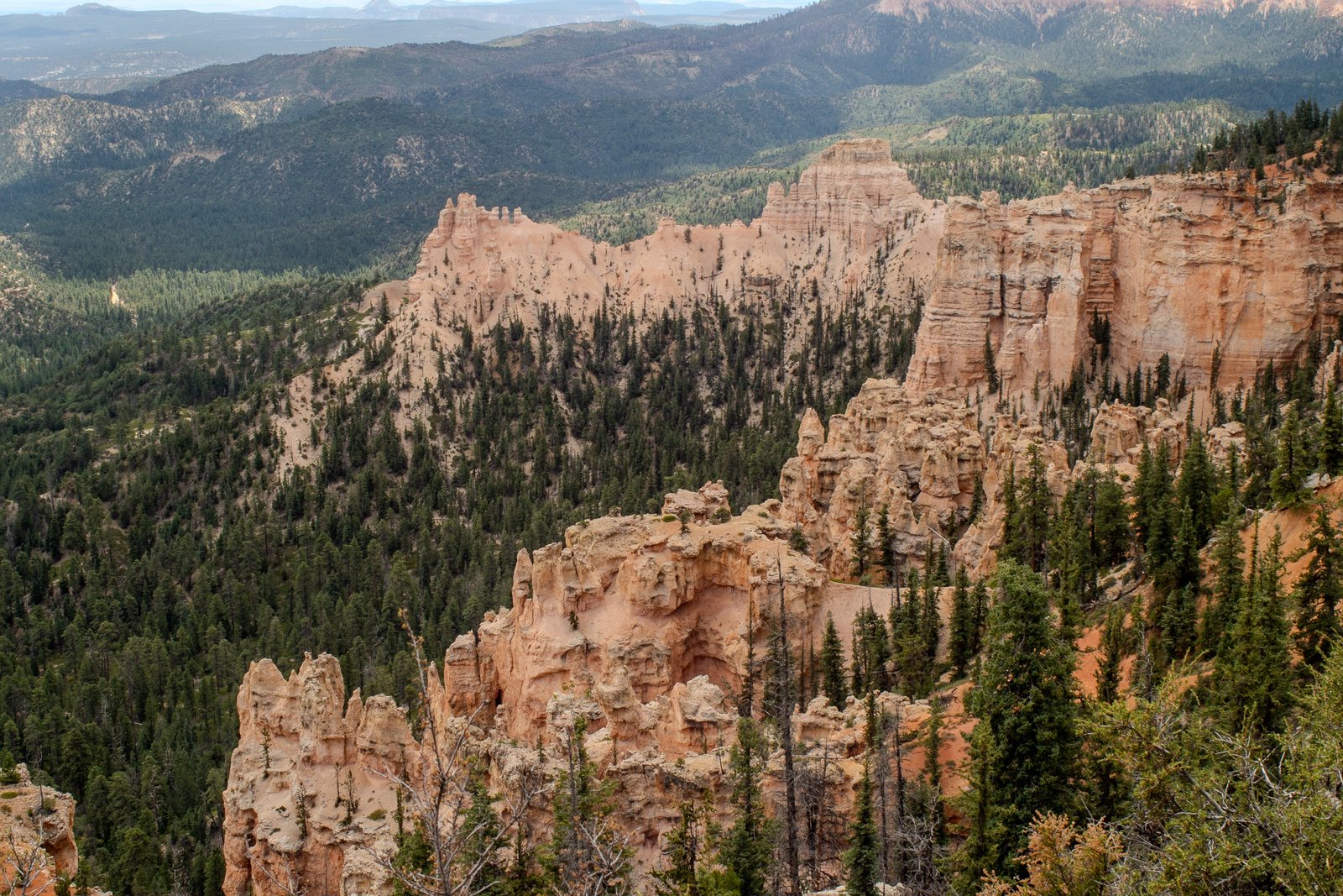 A photo from glenkphoto.com gallery