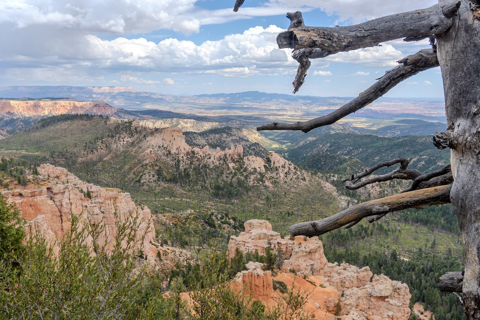 A photo from glenkphoto.com gallery