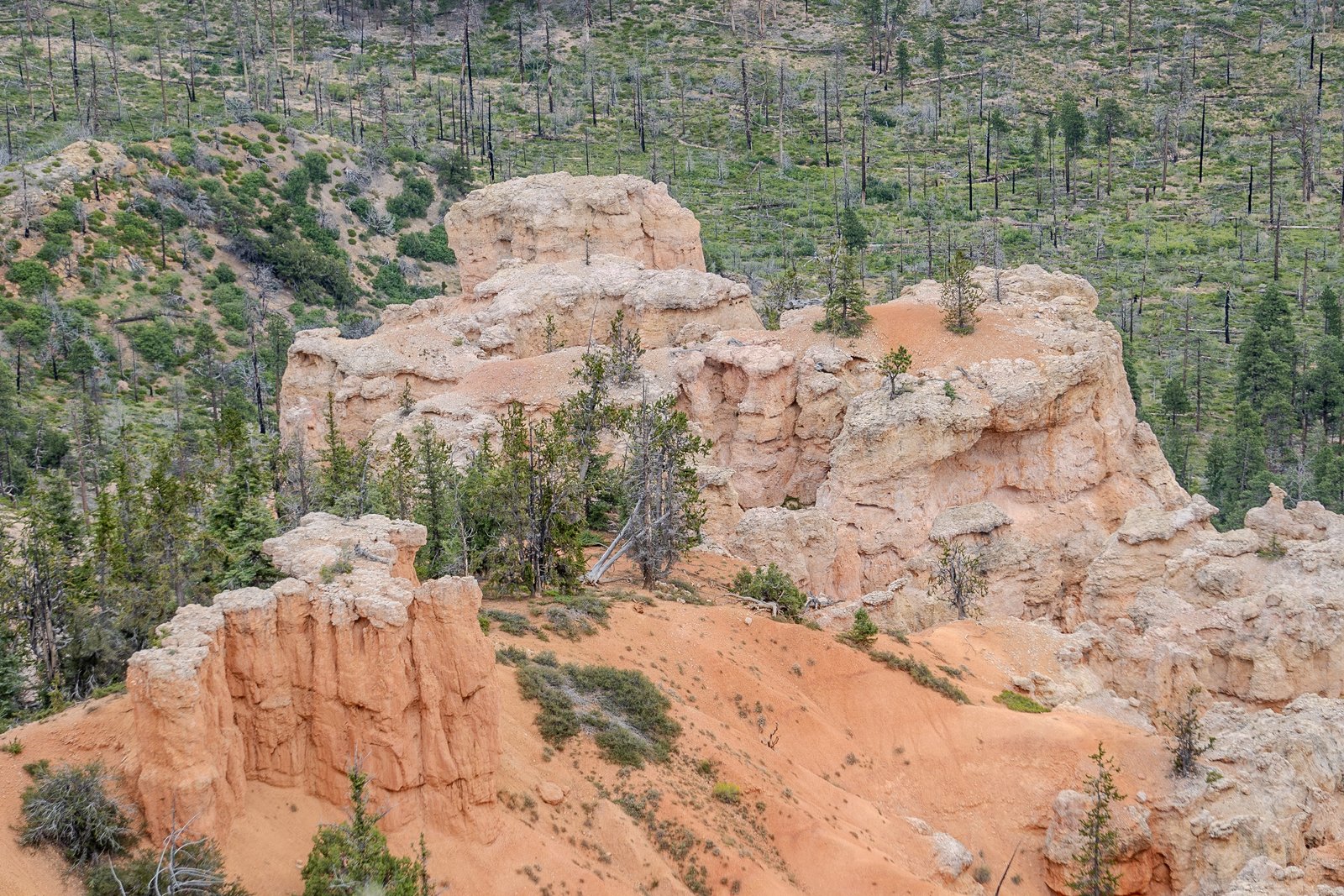 A photo from glenkphoto.com gallery