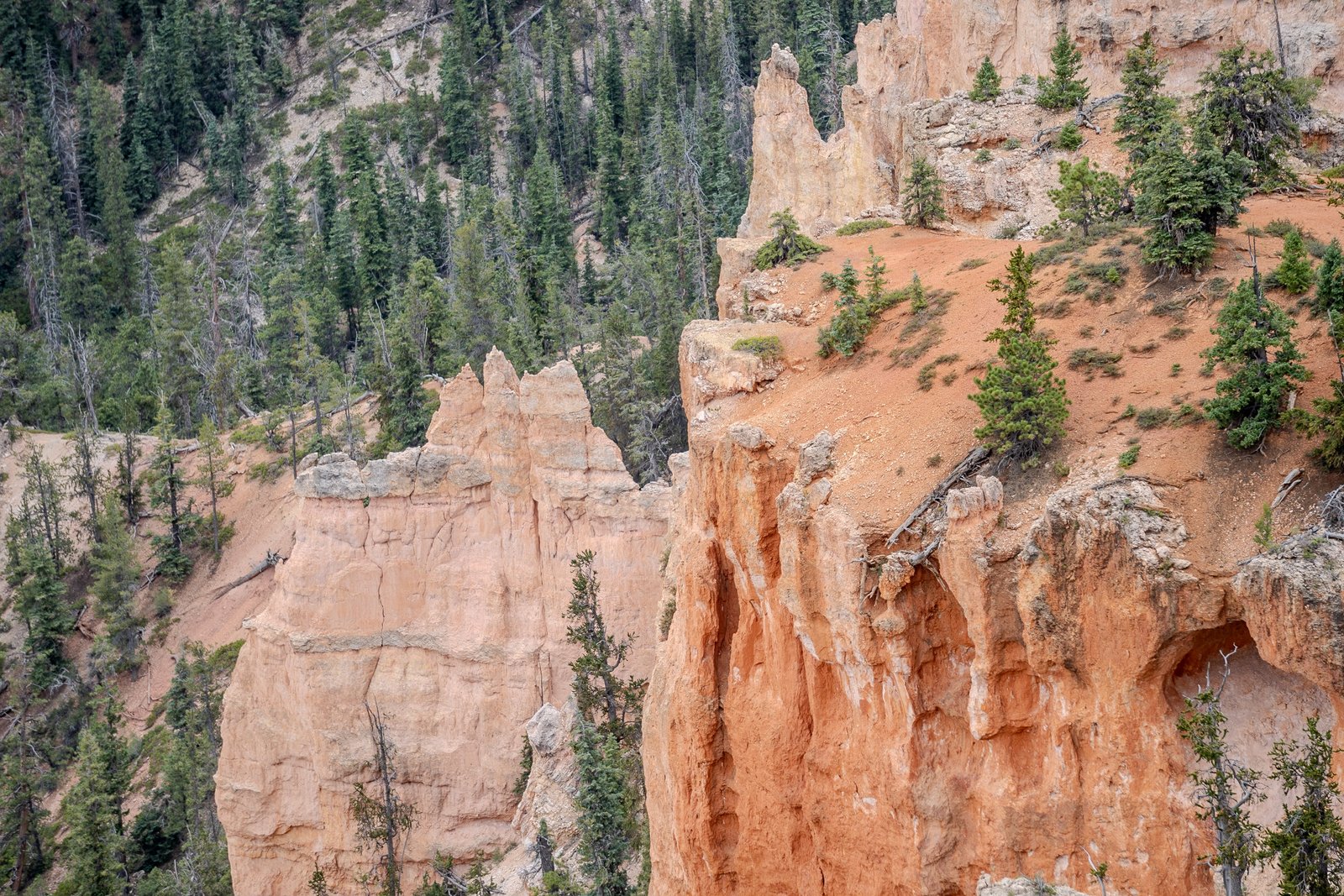 A photo from glenkphoto.com gallery