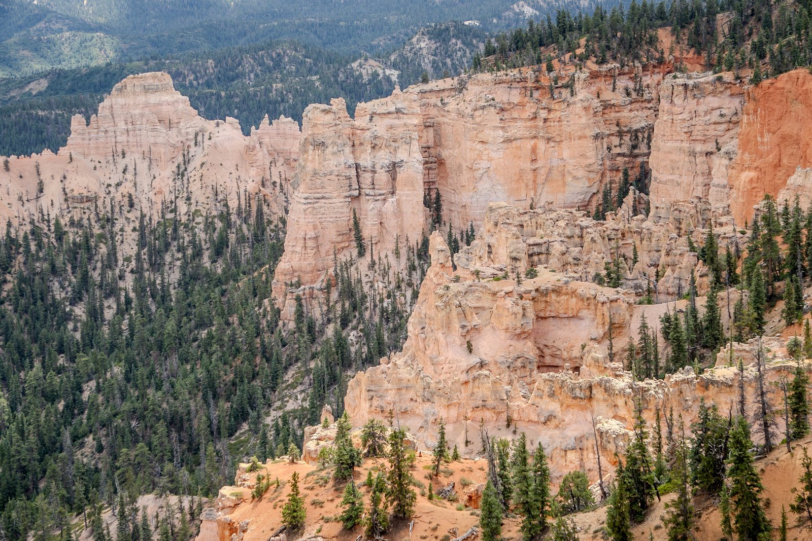 A photo from glenkphoto.com gallery