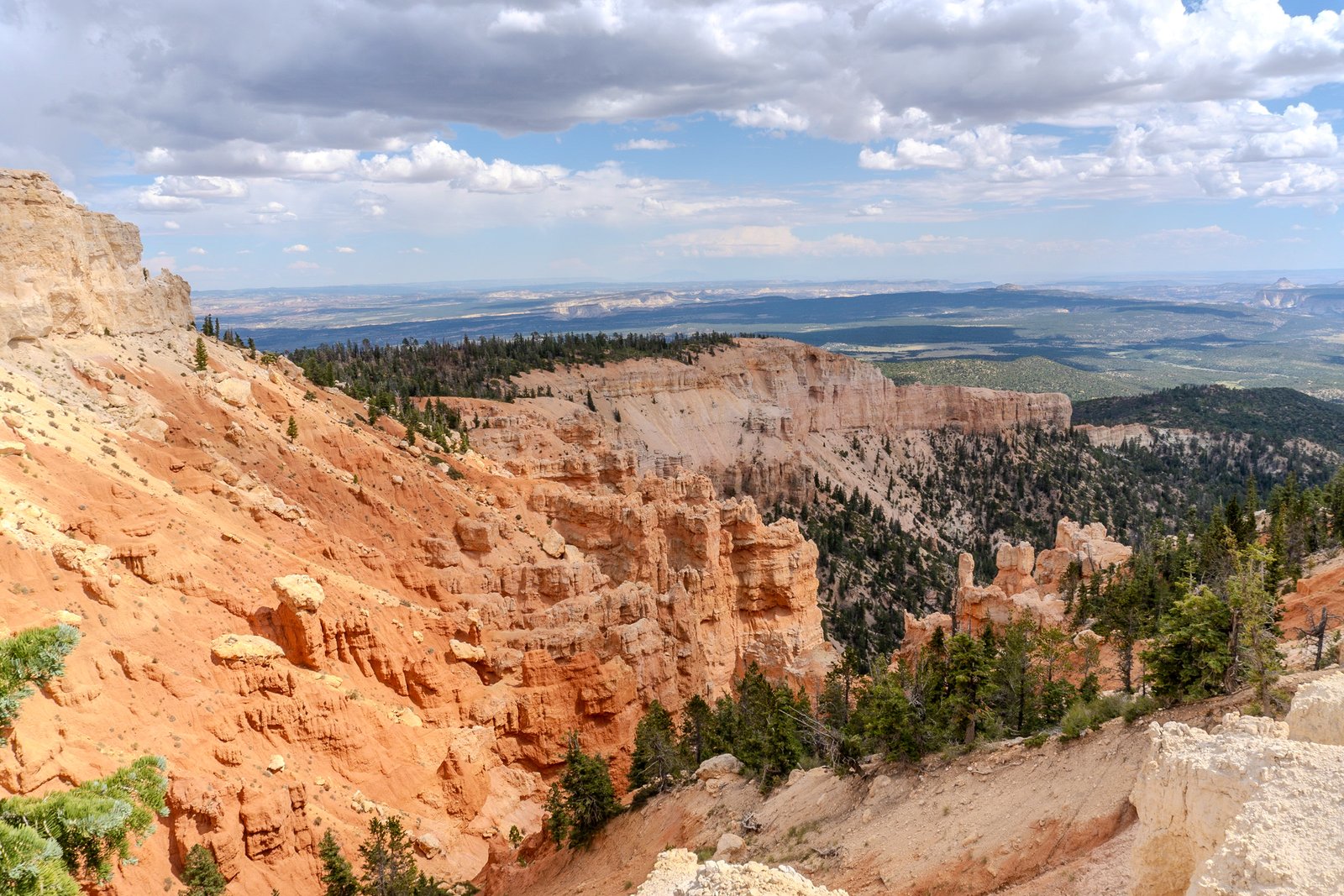 A photo from glenkphoto.com gallery