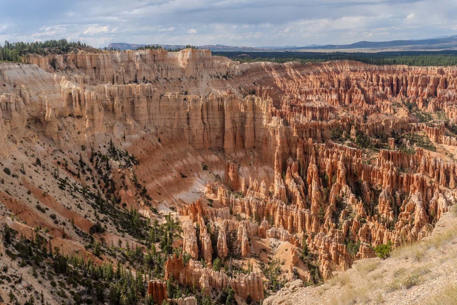 A photo from glenkphoto.com gallery