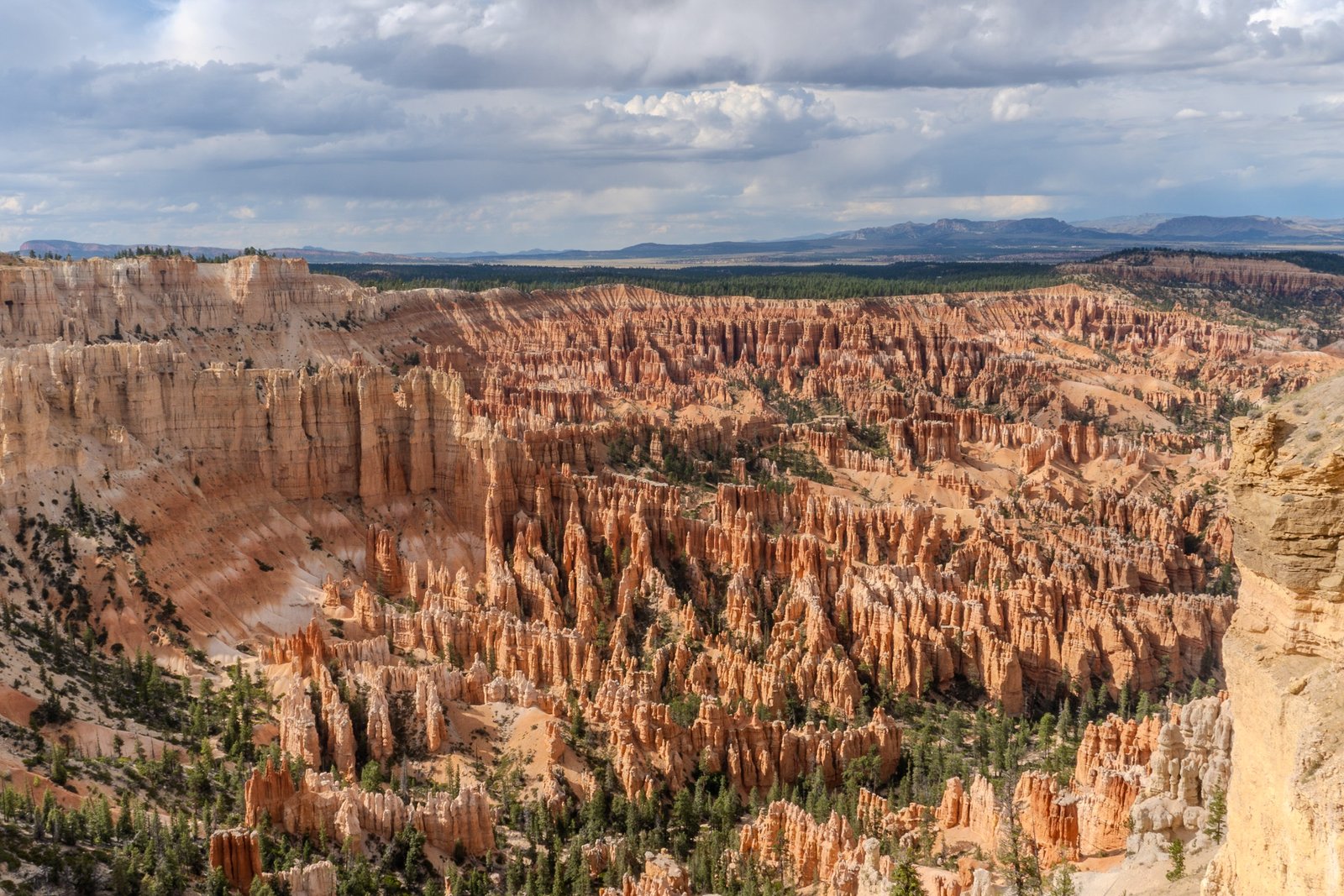 A photo from glenkphoto.com gallery