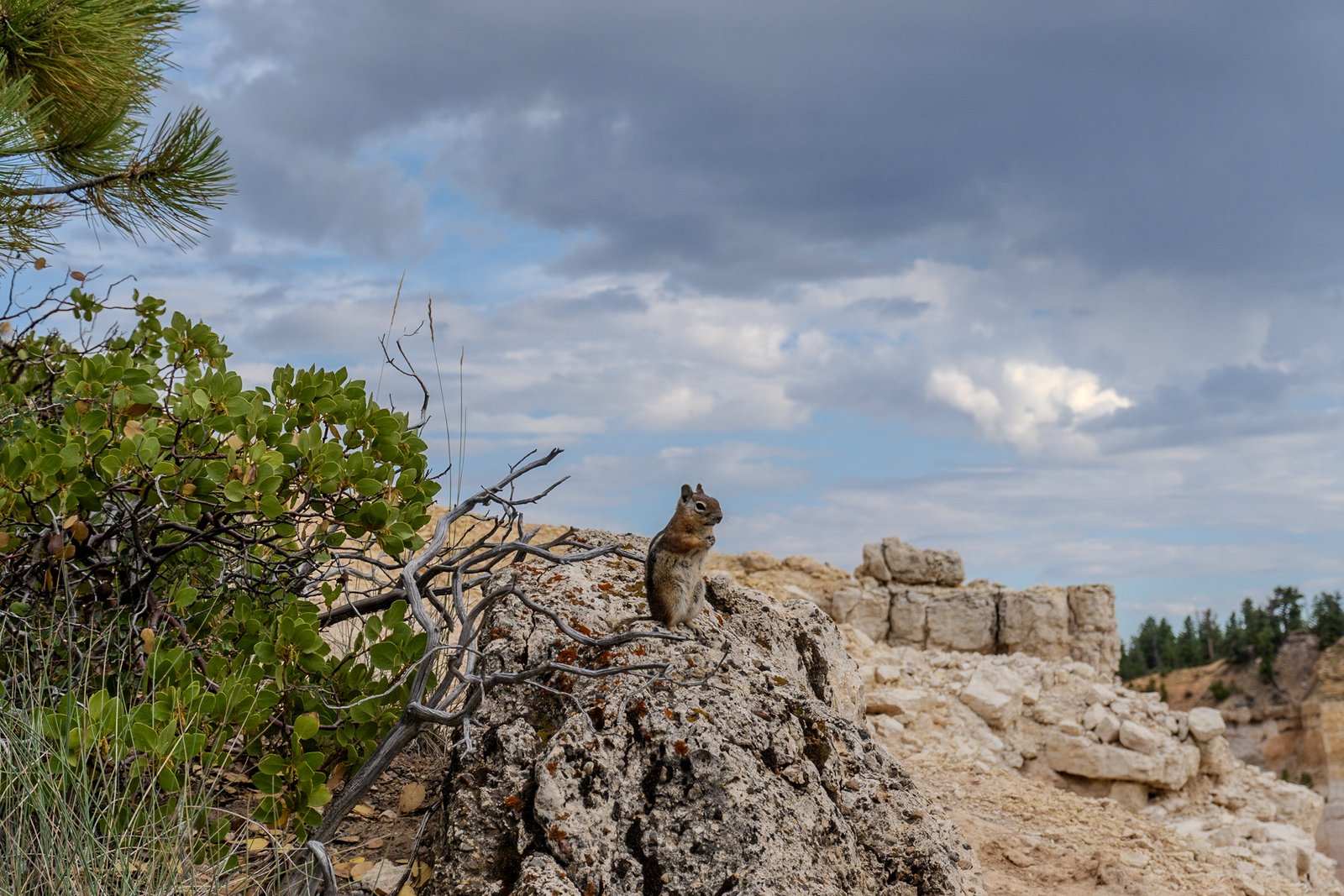 A photo from glenkphoto.com gallery