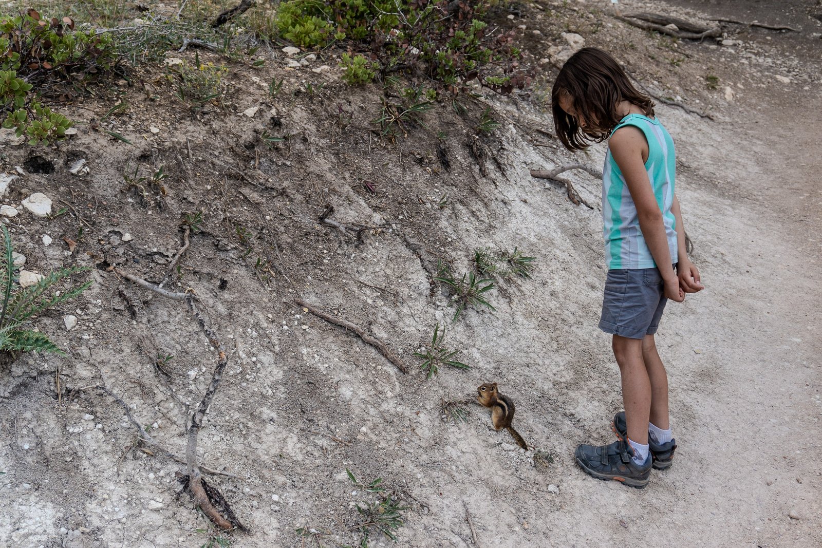 A photo from glenkphoto.com gallery