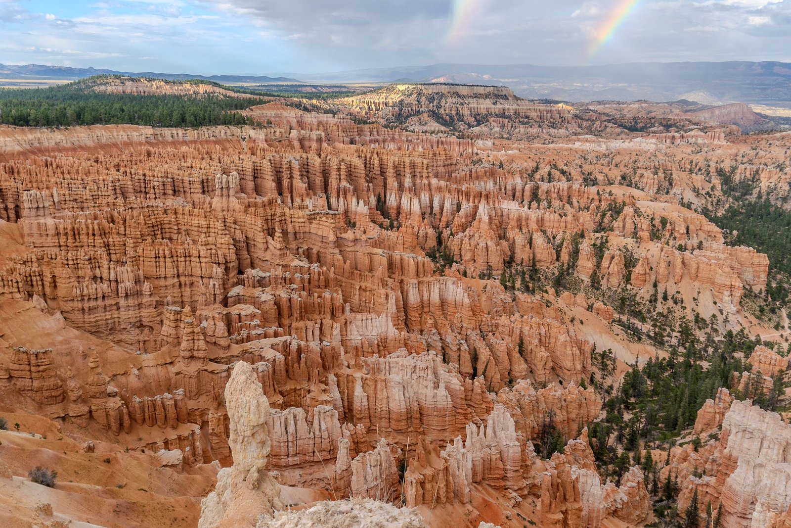 A photo from glenkphoto.com gallery