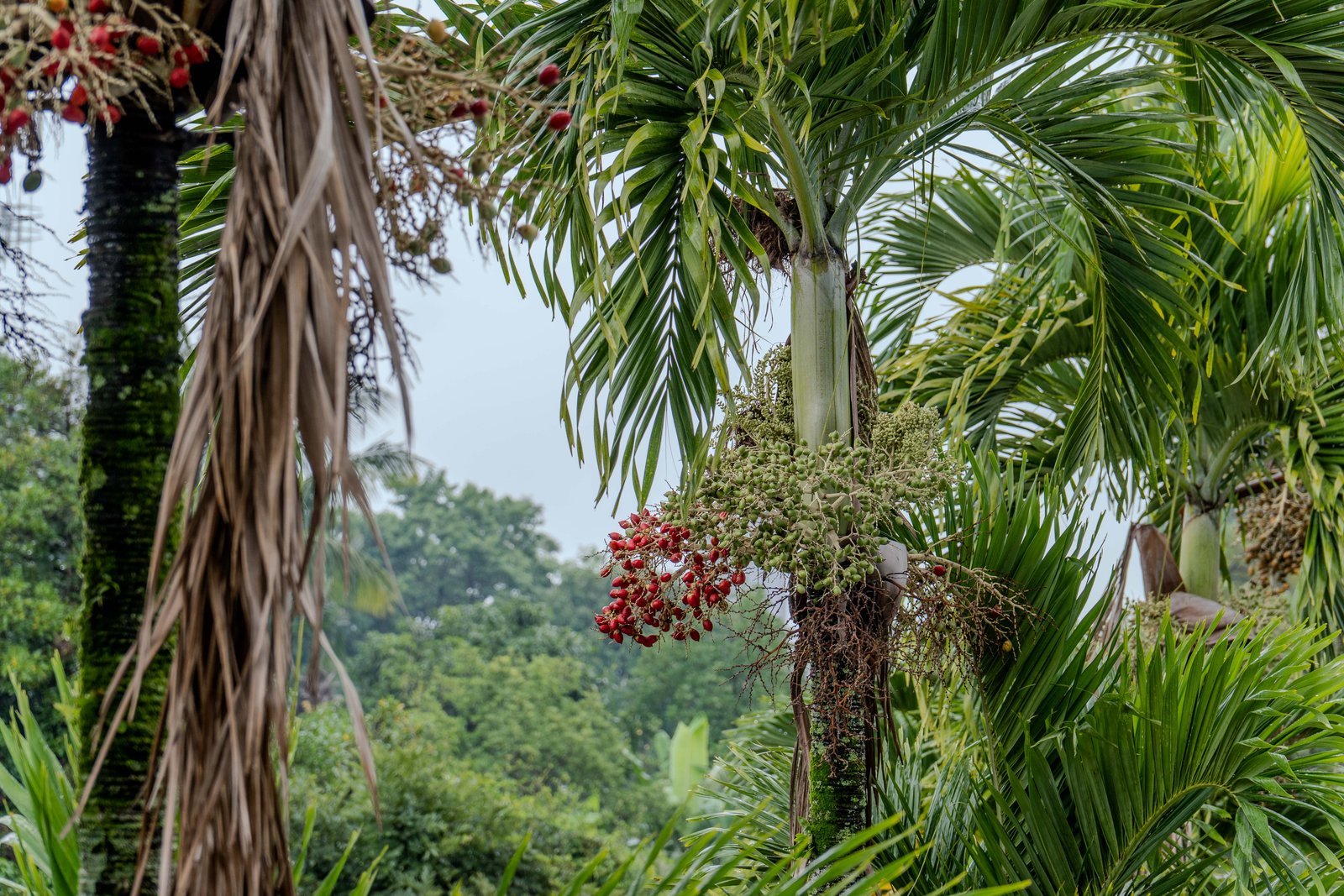 A photo from glenkphoto.com gallery