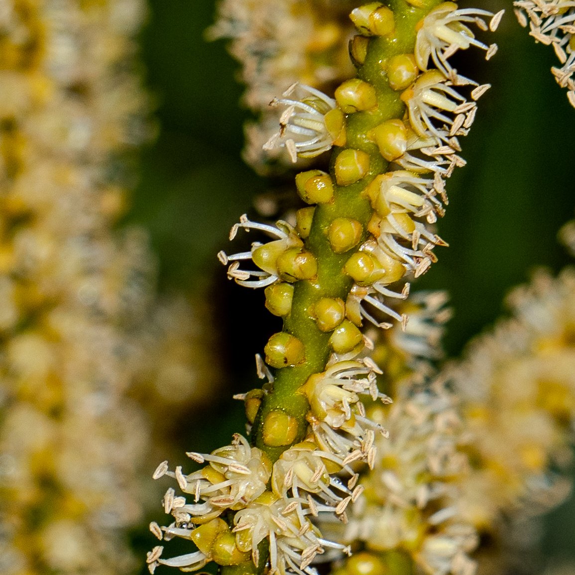 A photo from glenkphoto.com gallery