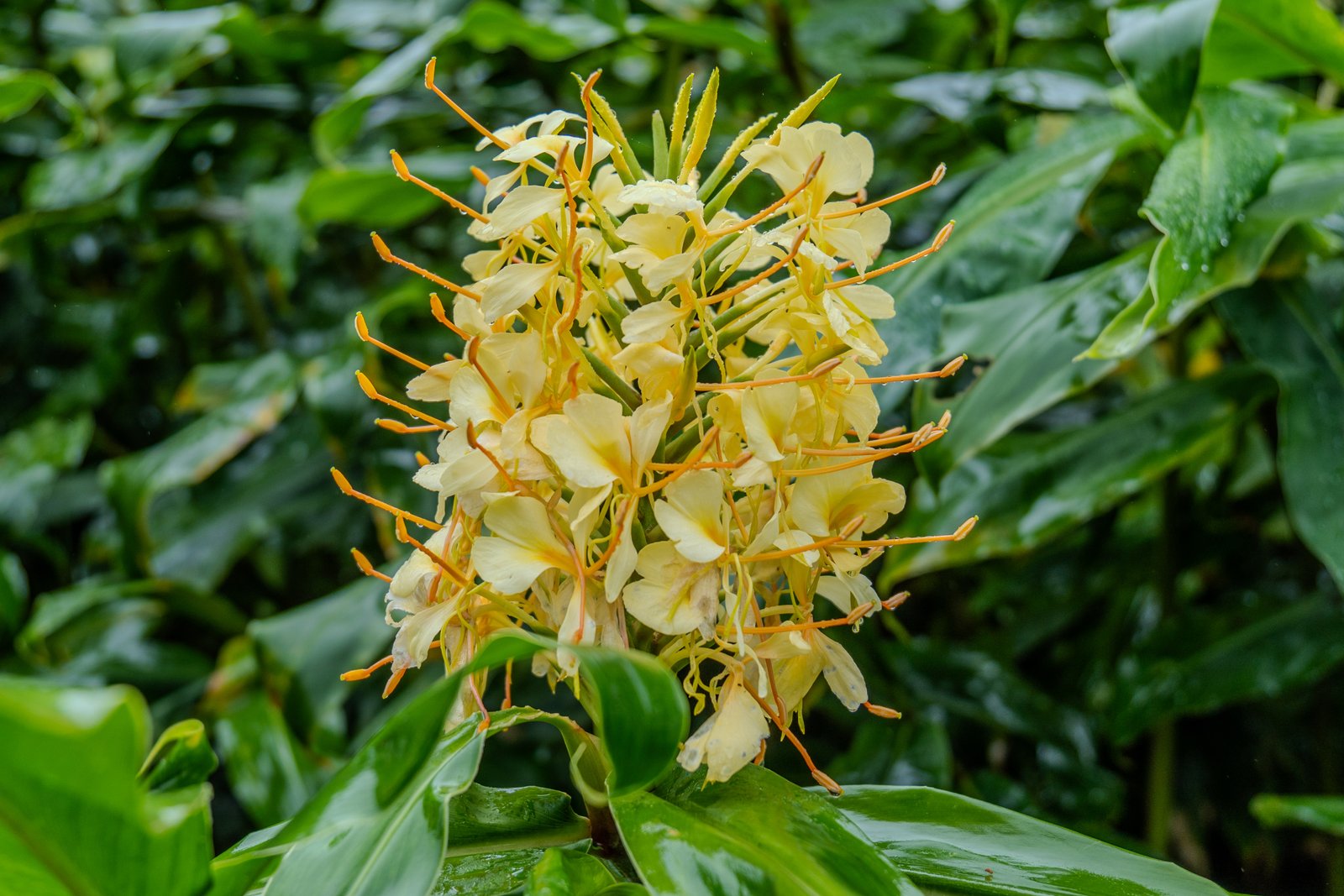 A photo from glenkphoto.com gallery