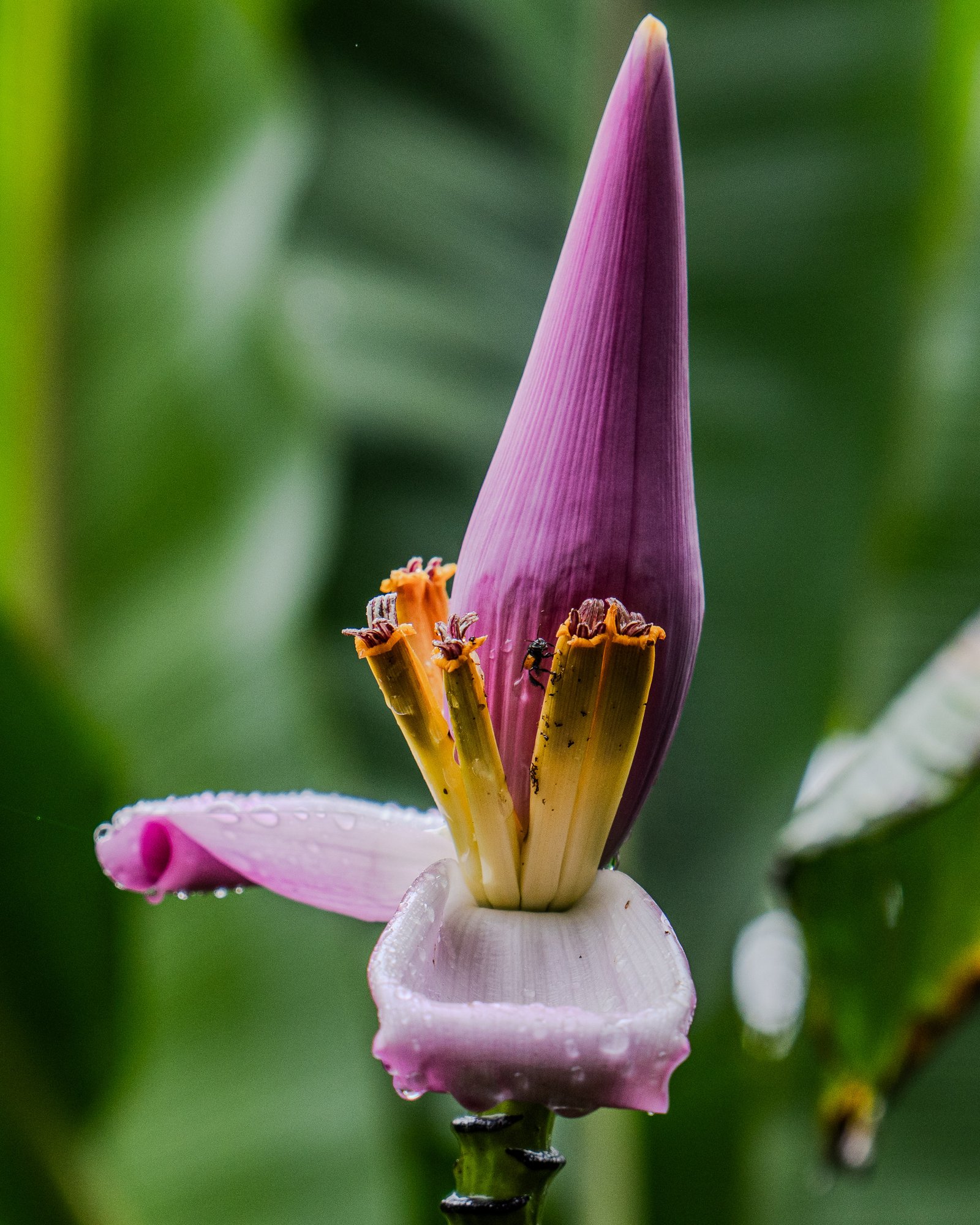 A photo from glenkphoto.com gallery