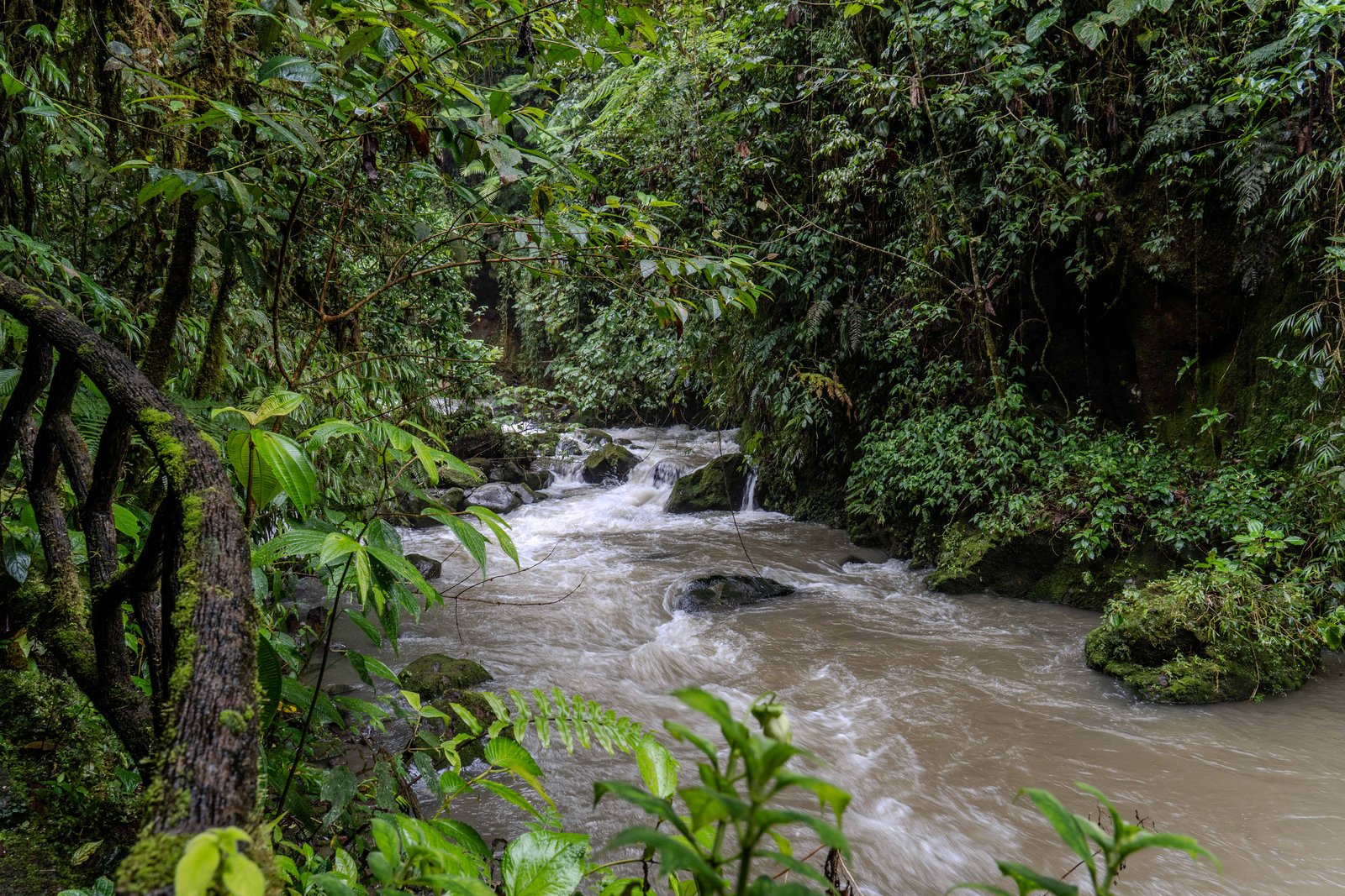 A photo from glenkphoto.com gallery