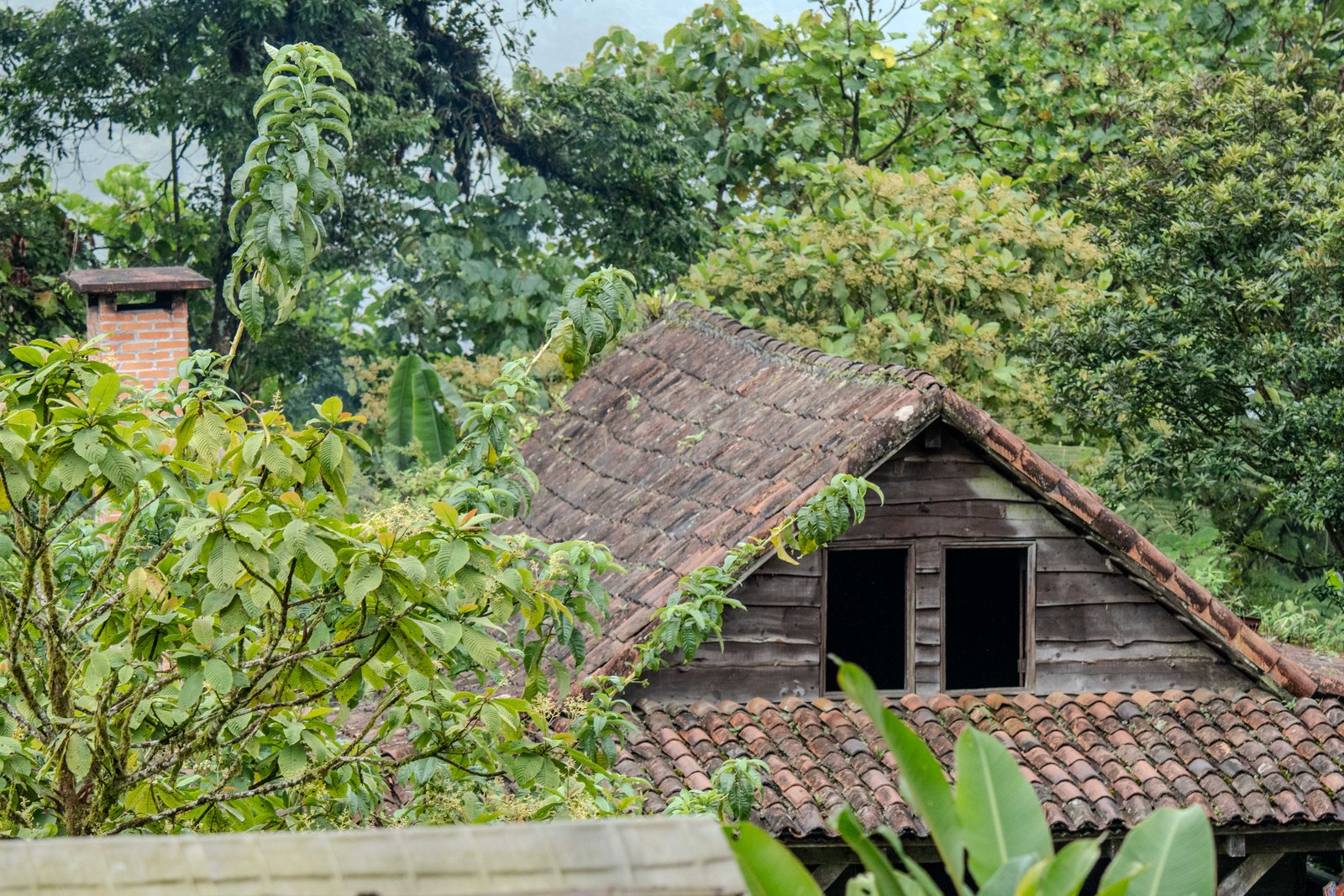 A photo from glenkphoto.com gallery