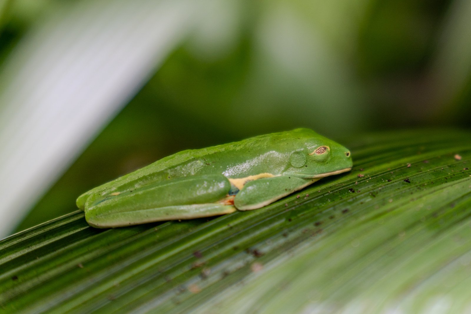 A photo from glenkphoto.com gallery