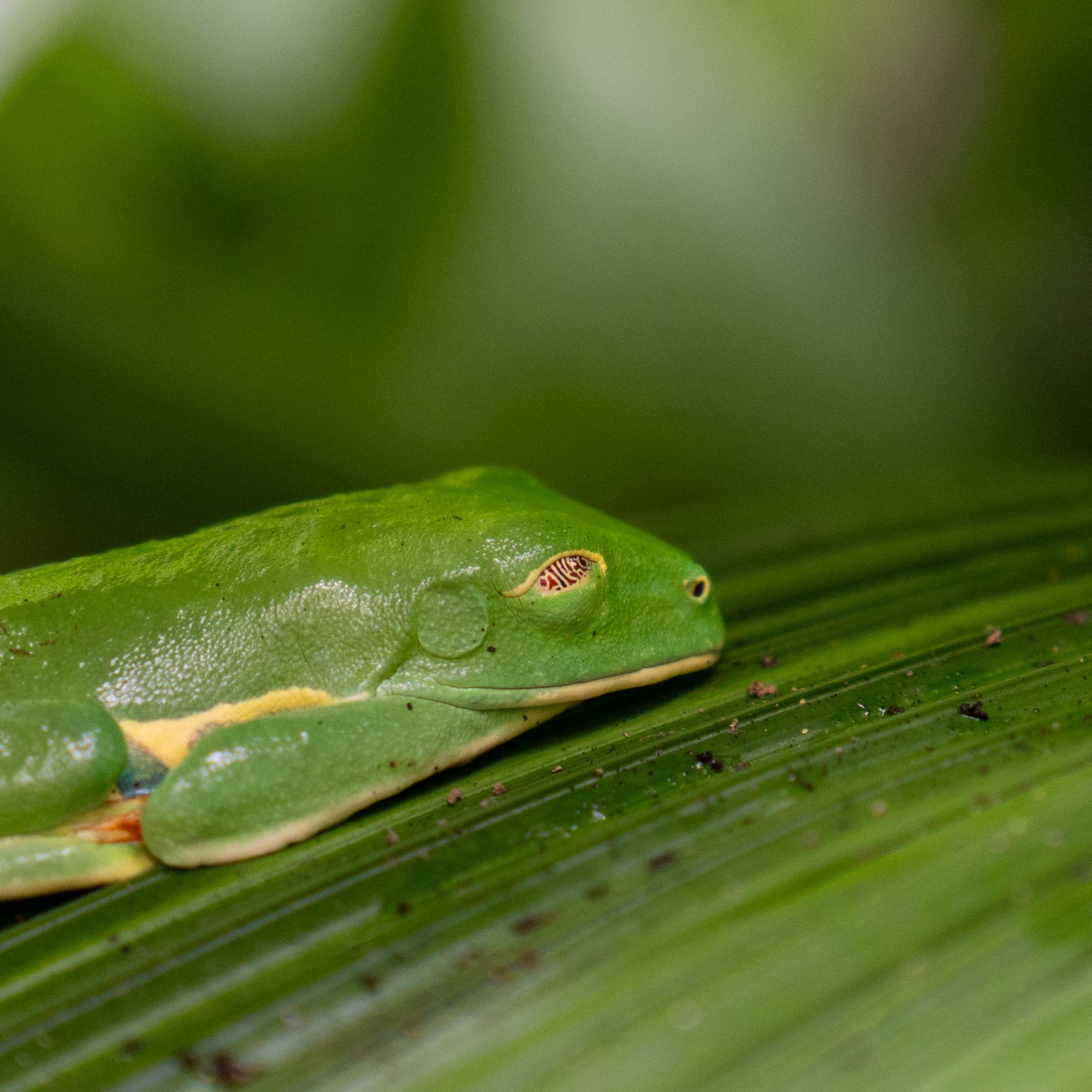 A photo from glenkphoto.com gallery