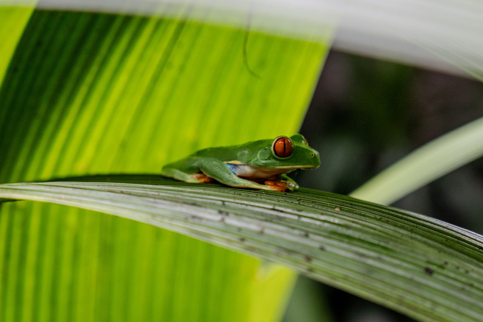 A photo from glenkphoto.com gallery