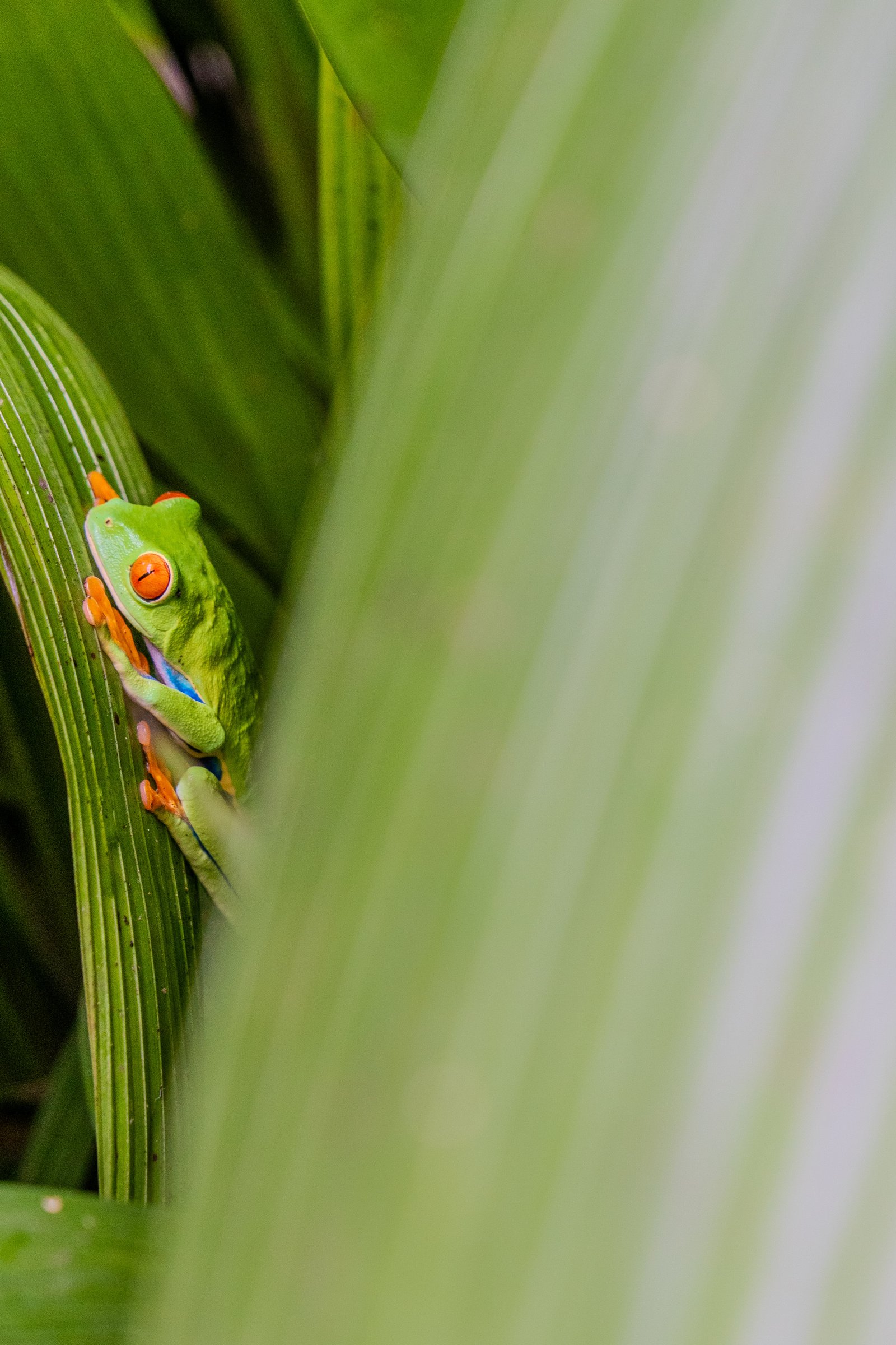 A photo from glenkphoto.com gallery