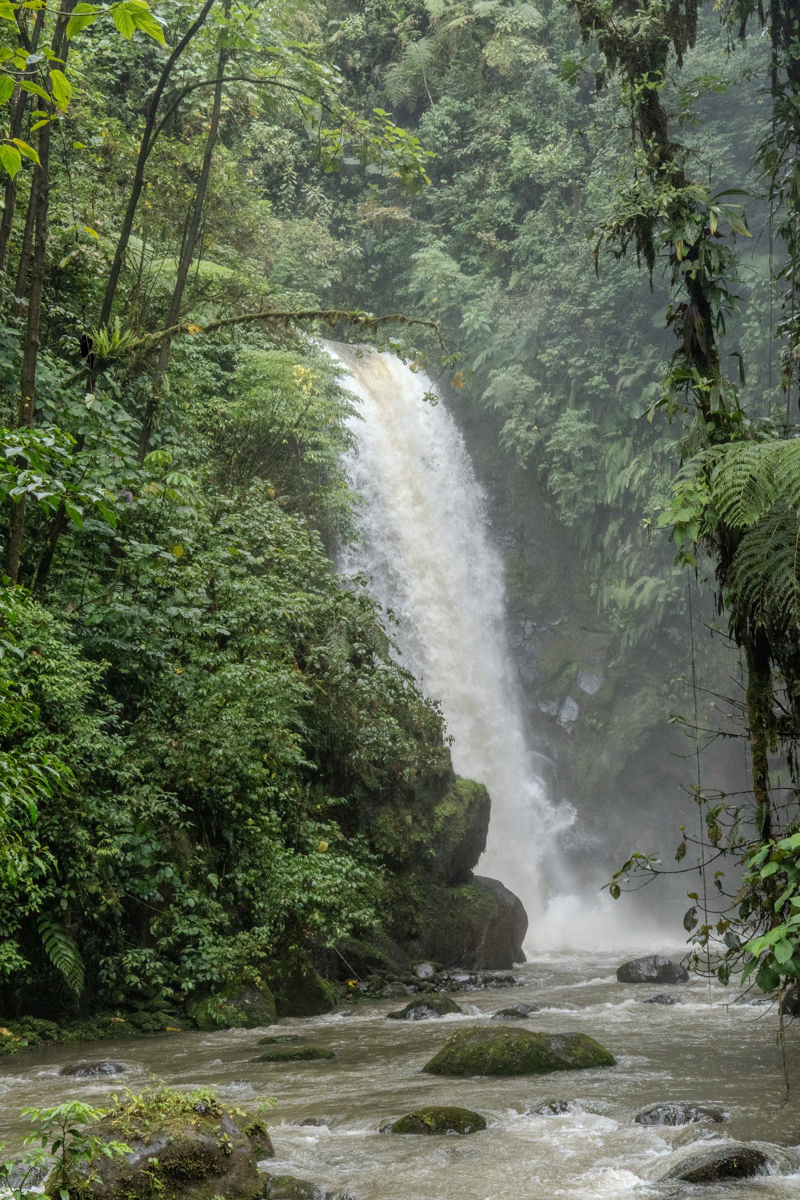 A photo from glenkphoto.com gallery