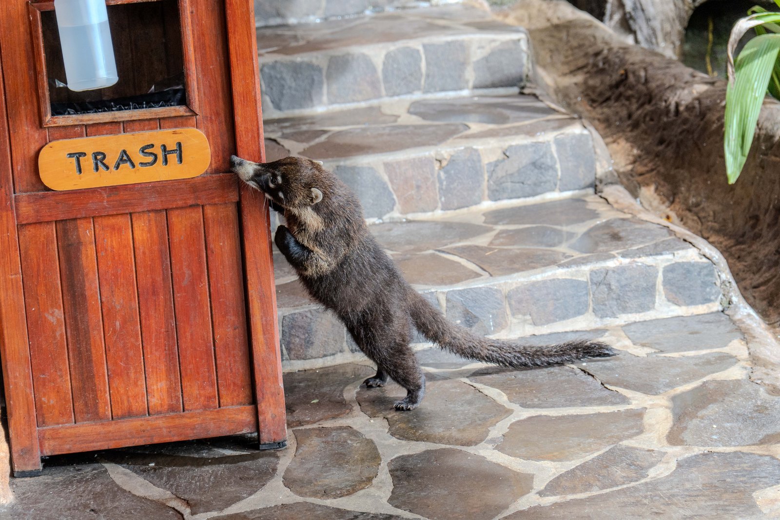 A photo from glenkphoto.com gallery