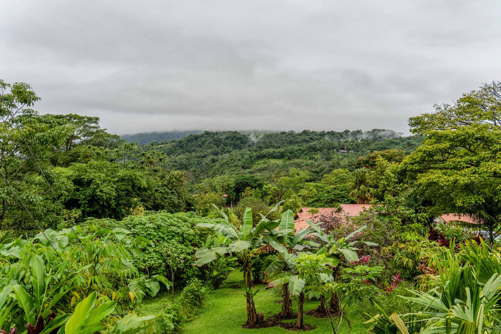 A photo from glenkphoto.com gallery