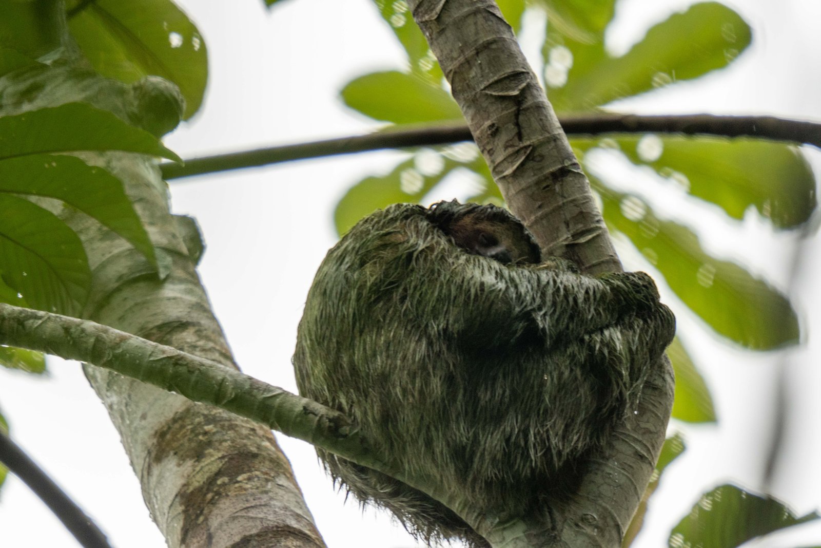 A photo from glenkphoto.com gallery