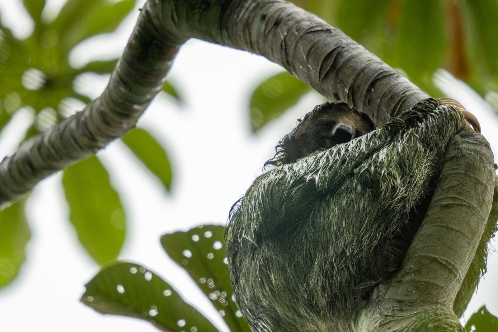 A photo from glenkphoto.com gallery