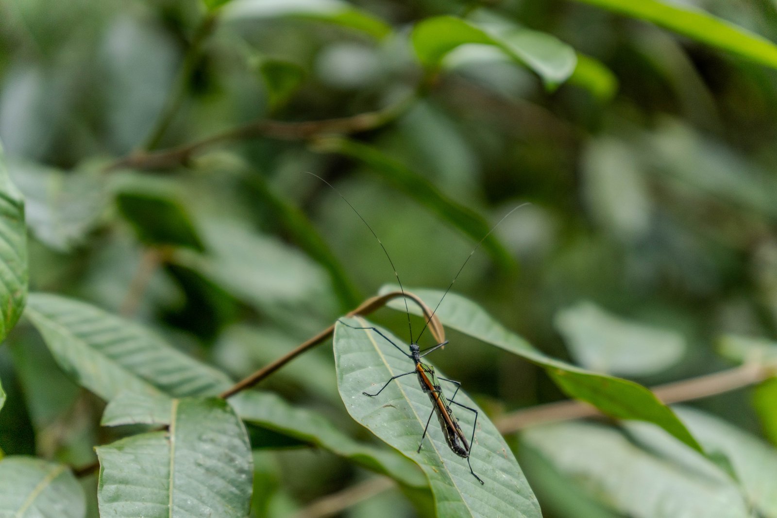 A photo from glenkphoto.com gallery