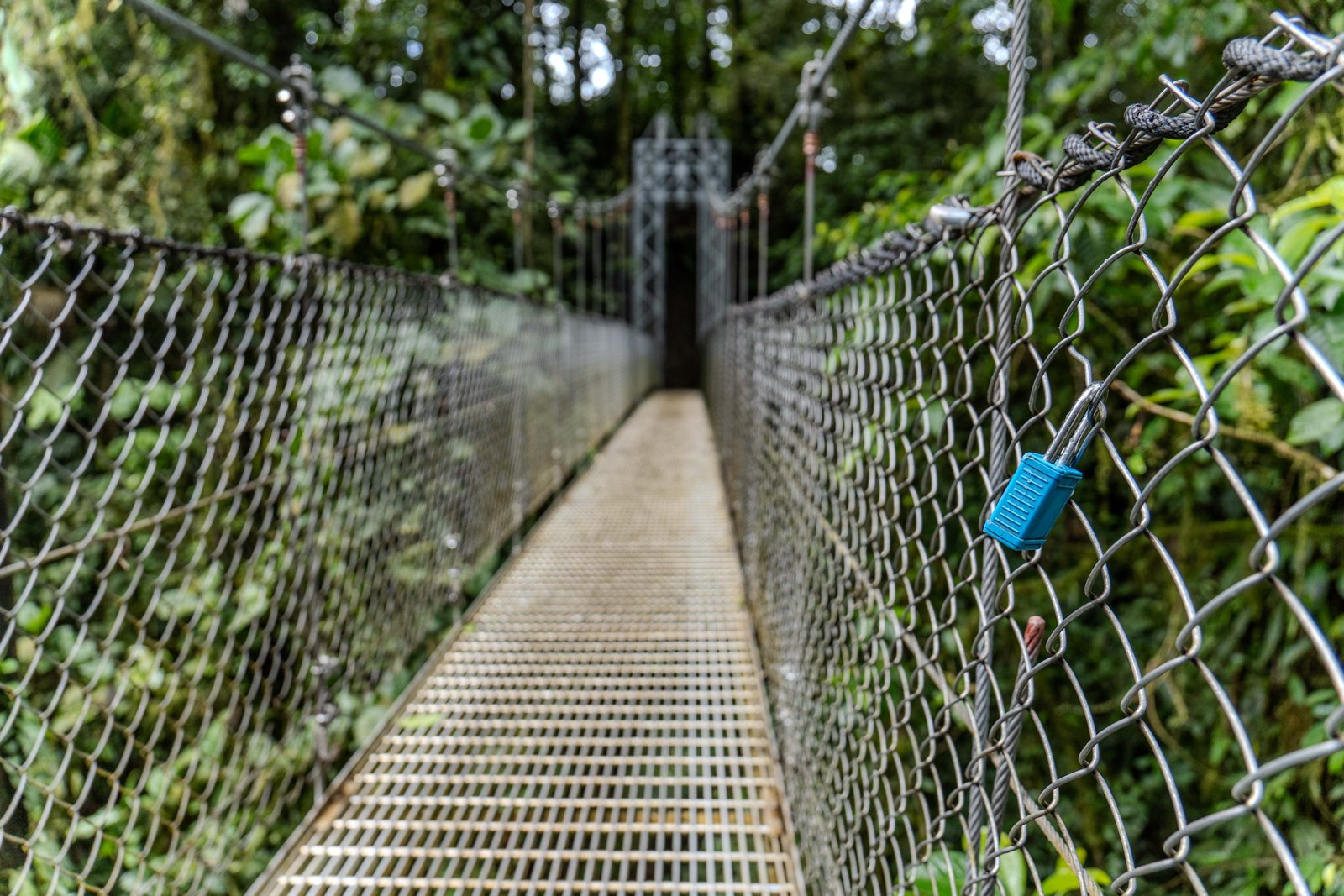 A photo from glenkphoto.com gallery