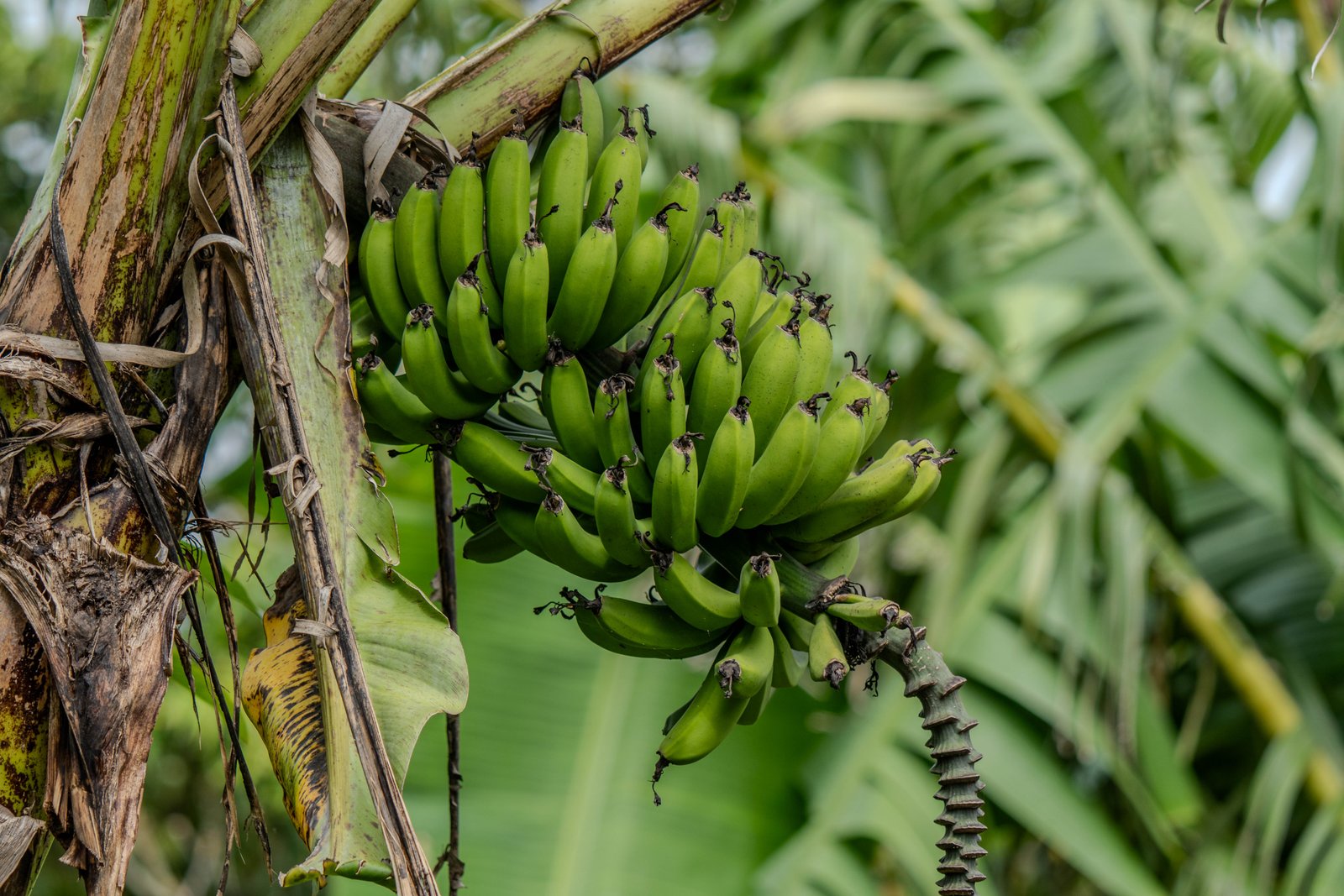 A photo from glenkphoto.com gallery