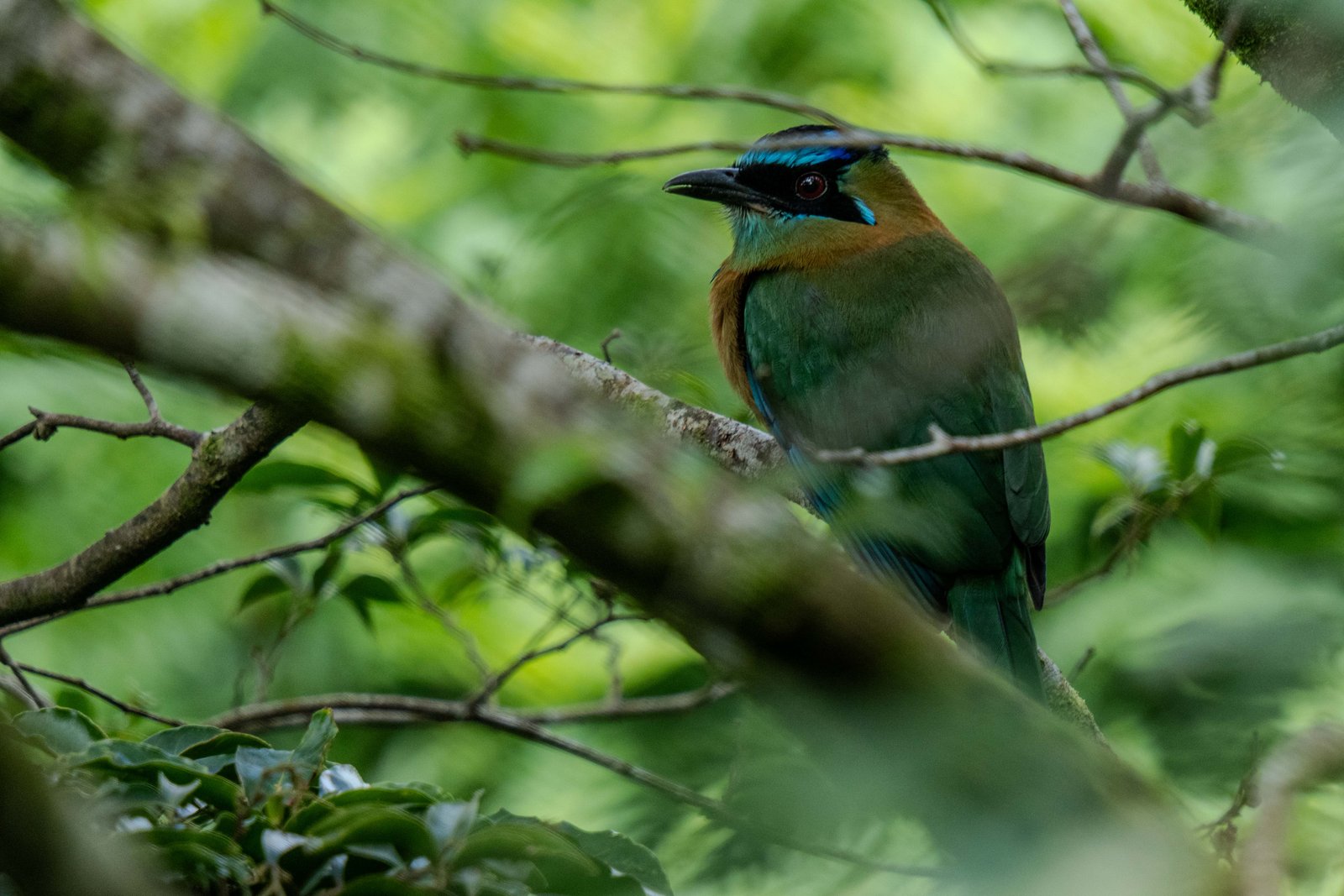 A photo from glenkphoto.com gallery