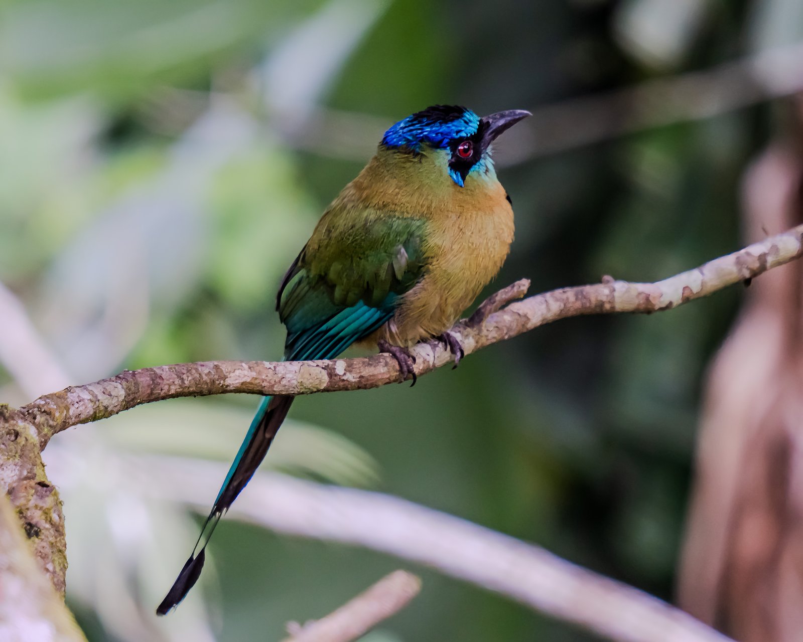 A photo from glenkphoto.com gallery