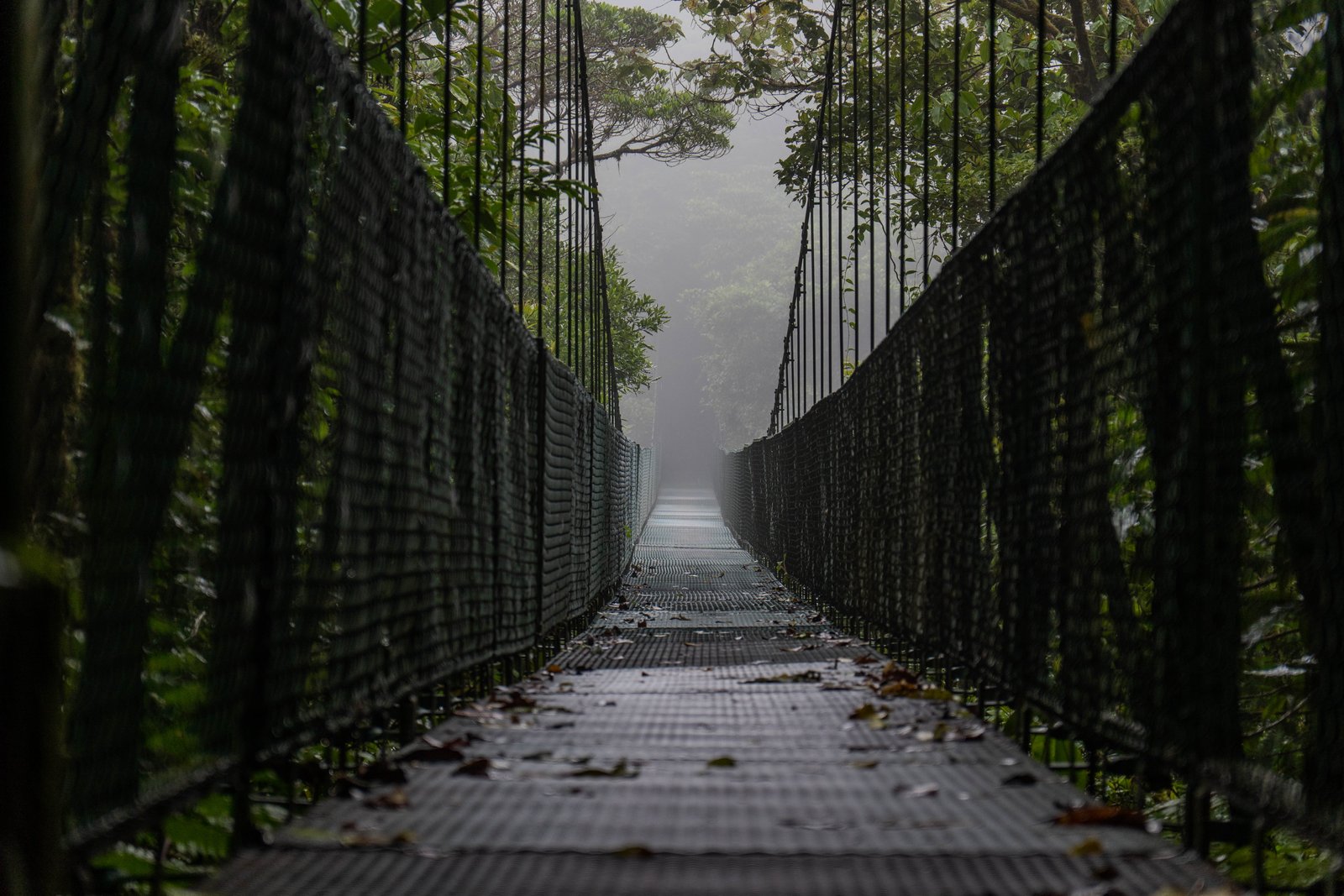 A photo from glenkphoto.com gallery