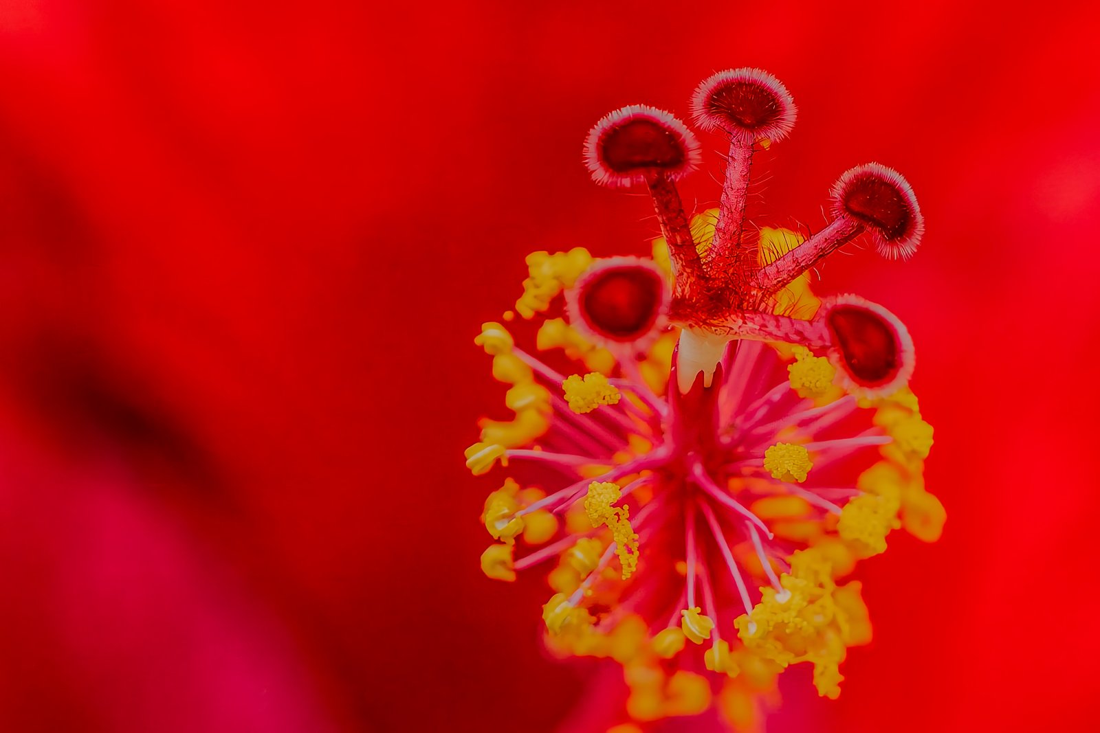 A photo from glenkphoto.com gallery