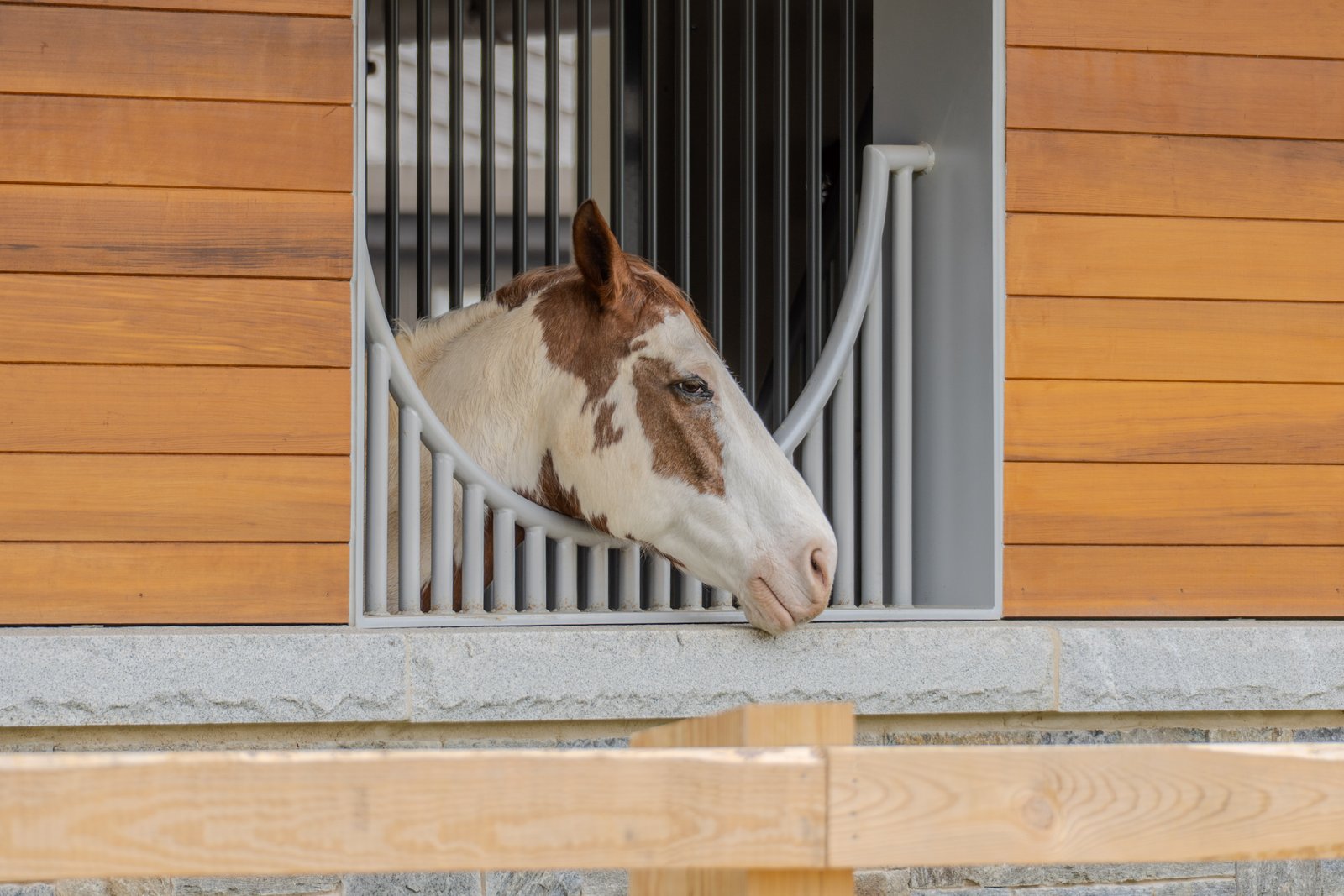 A photo from glenkphoto.com gallery