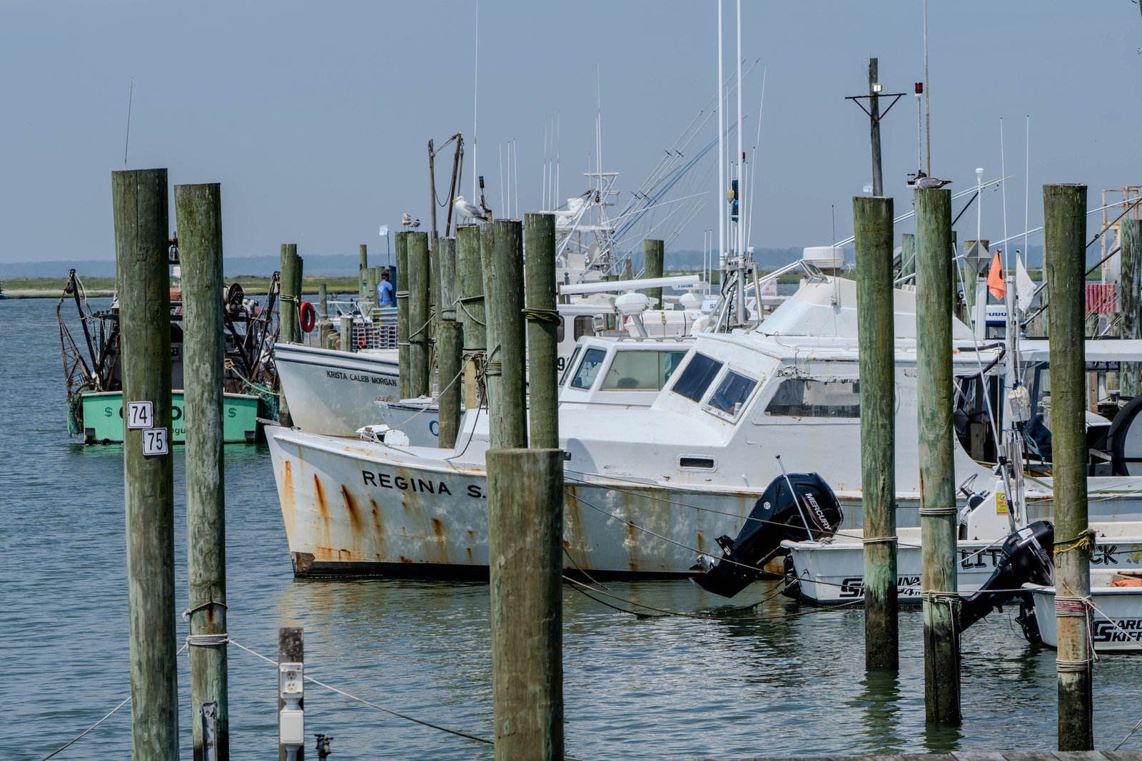 A photo from glenkphoto.com gallery