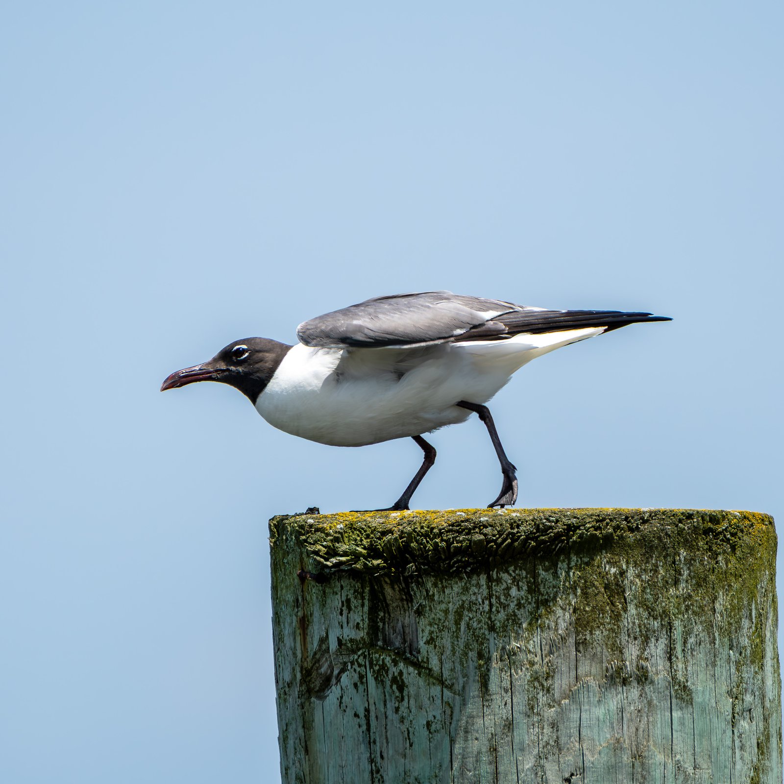 A photo from glenkphoto.com gallery