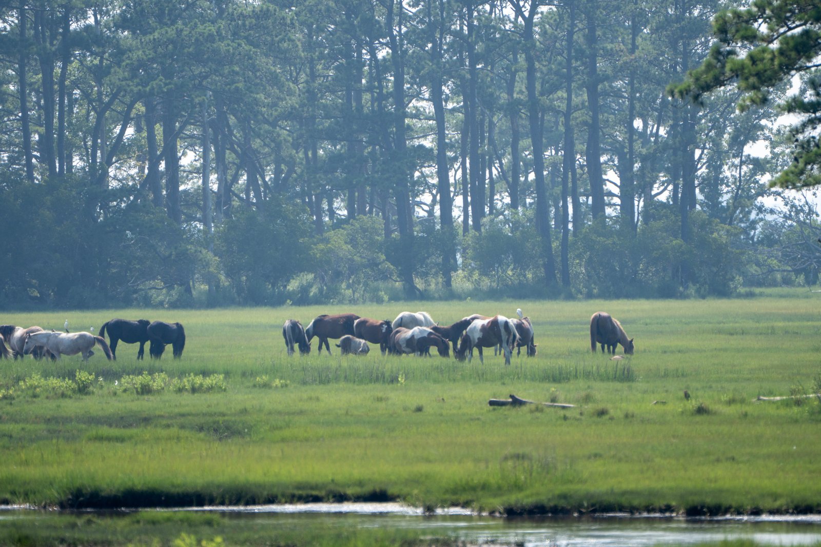 A photo from glenkphoto.com gallery