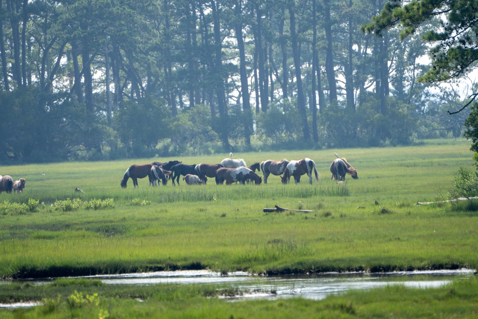 A photo from glenkphoto.com gallery